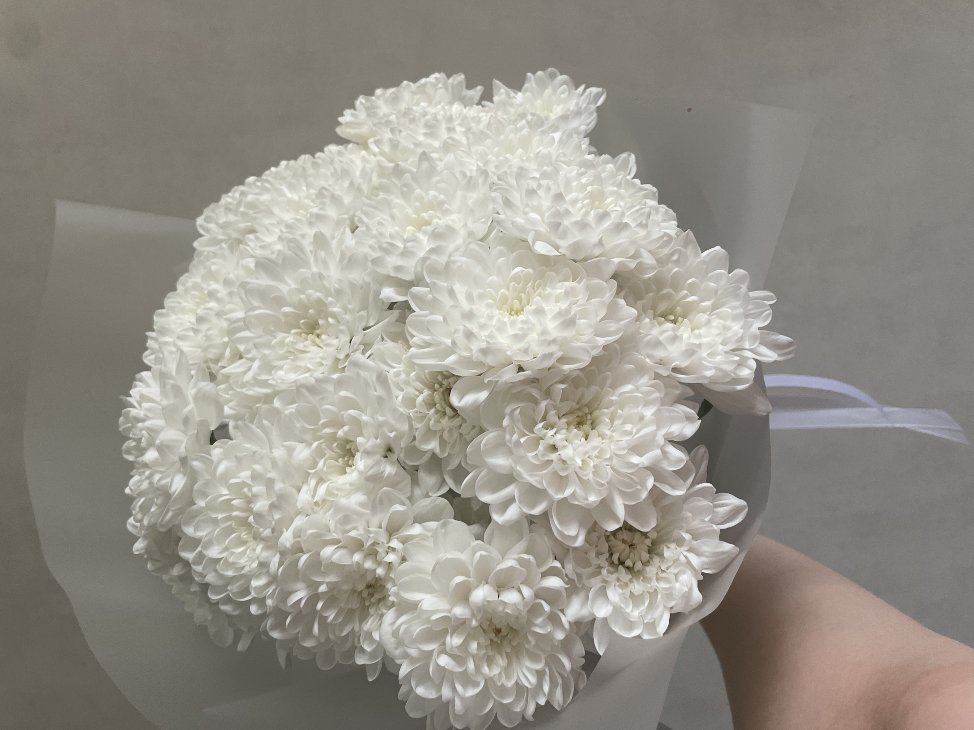 Woman receives white chrysanthemums in intimate family moment