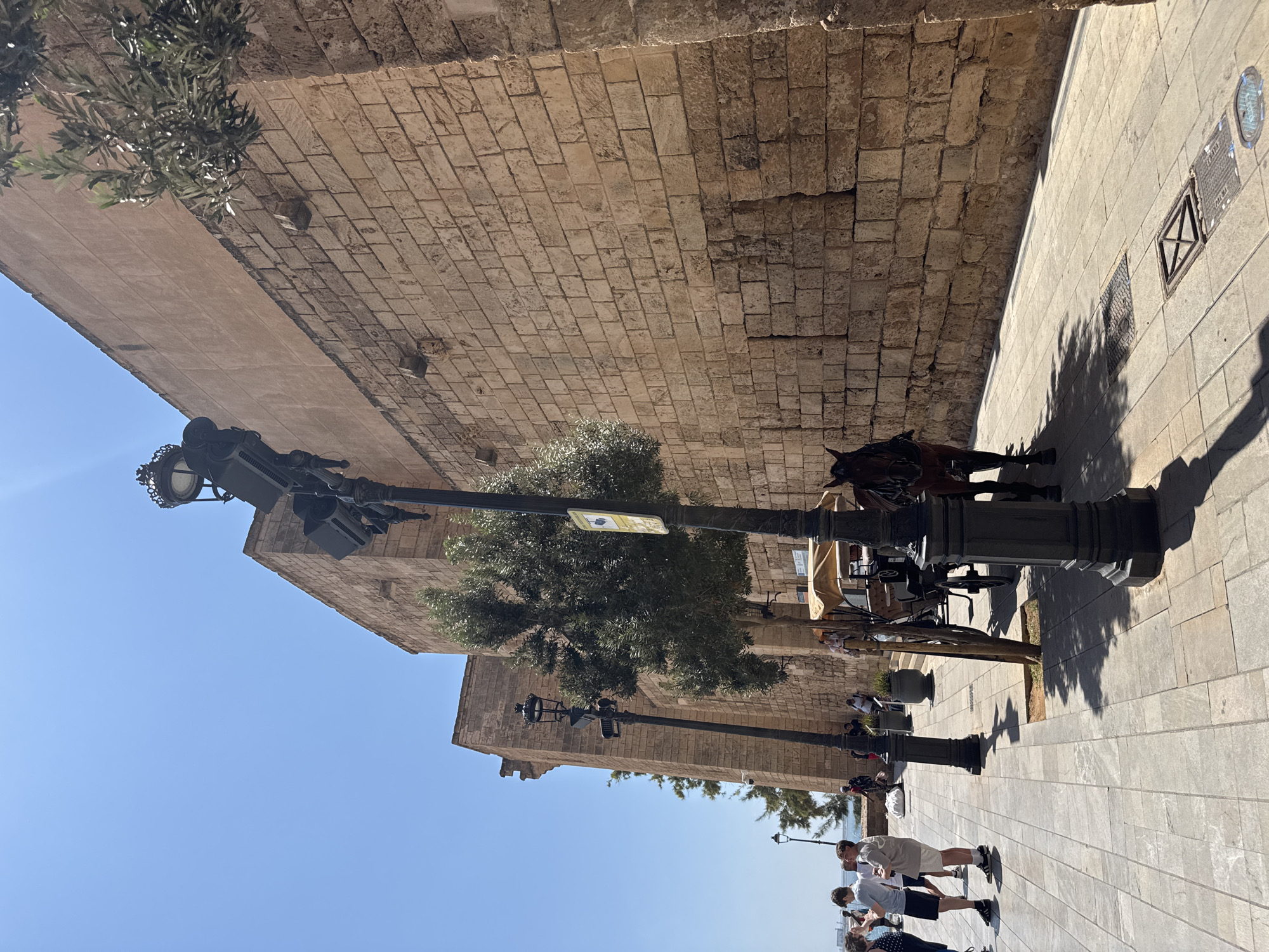 La Seu Cathedral and Parc de la Mar on a sunny Palma afternoon