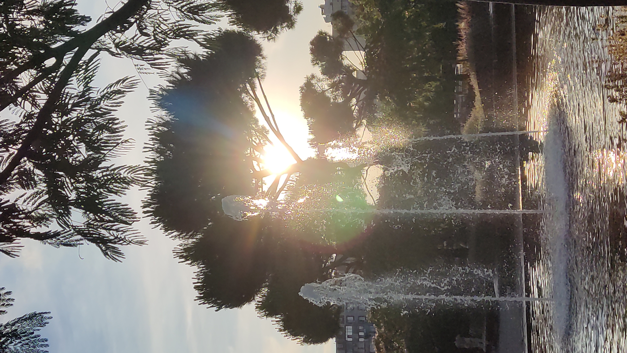 An afternoon in a green urban park with fountains and paths
