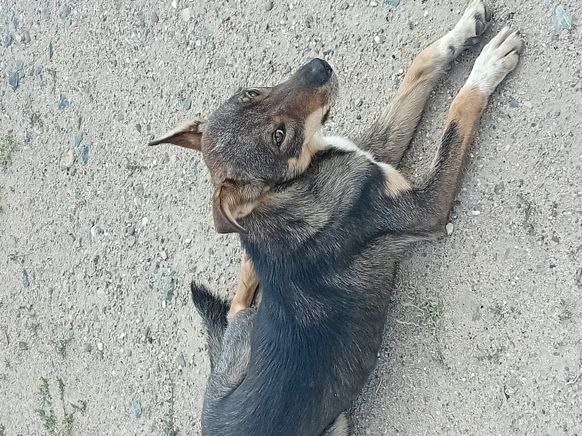 Semey, Kazakhstan