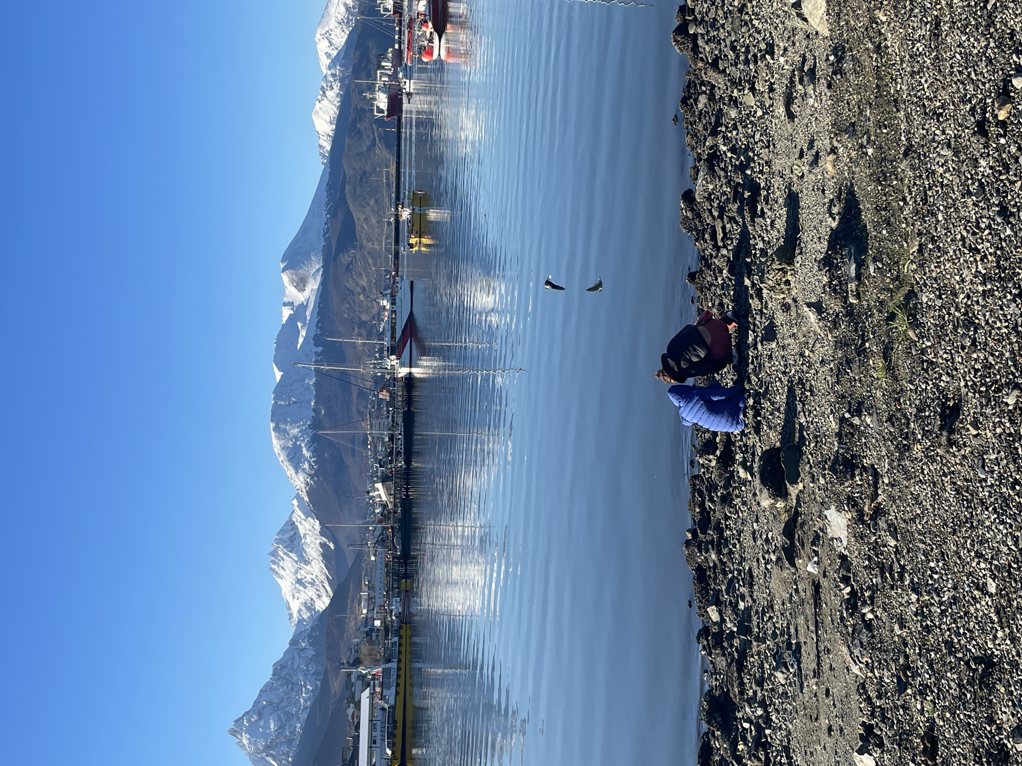 Afternoon shoreline visit captured at Ushuaia harbor