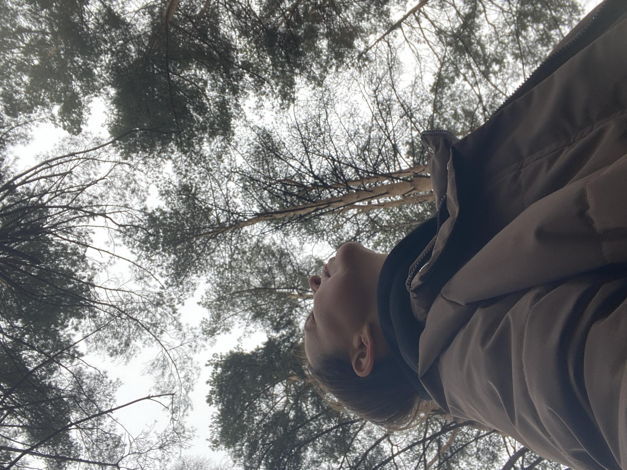 Forest visitor documented gazing upward in Chaikovsky woodland