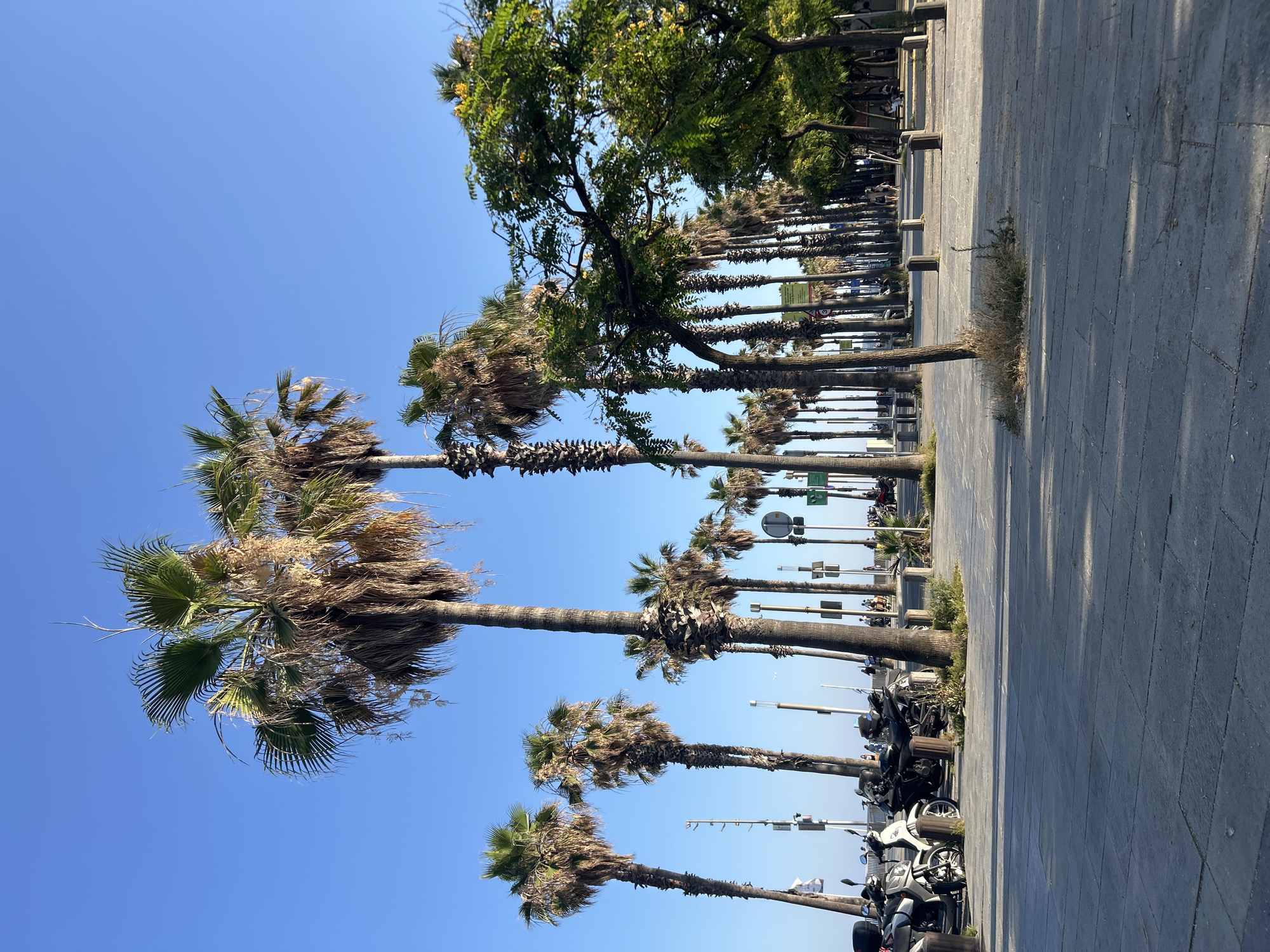 Afternoon stroll through Barcelona's waterfront parks and marina