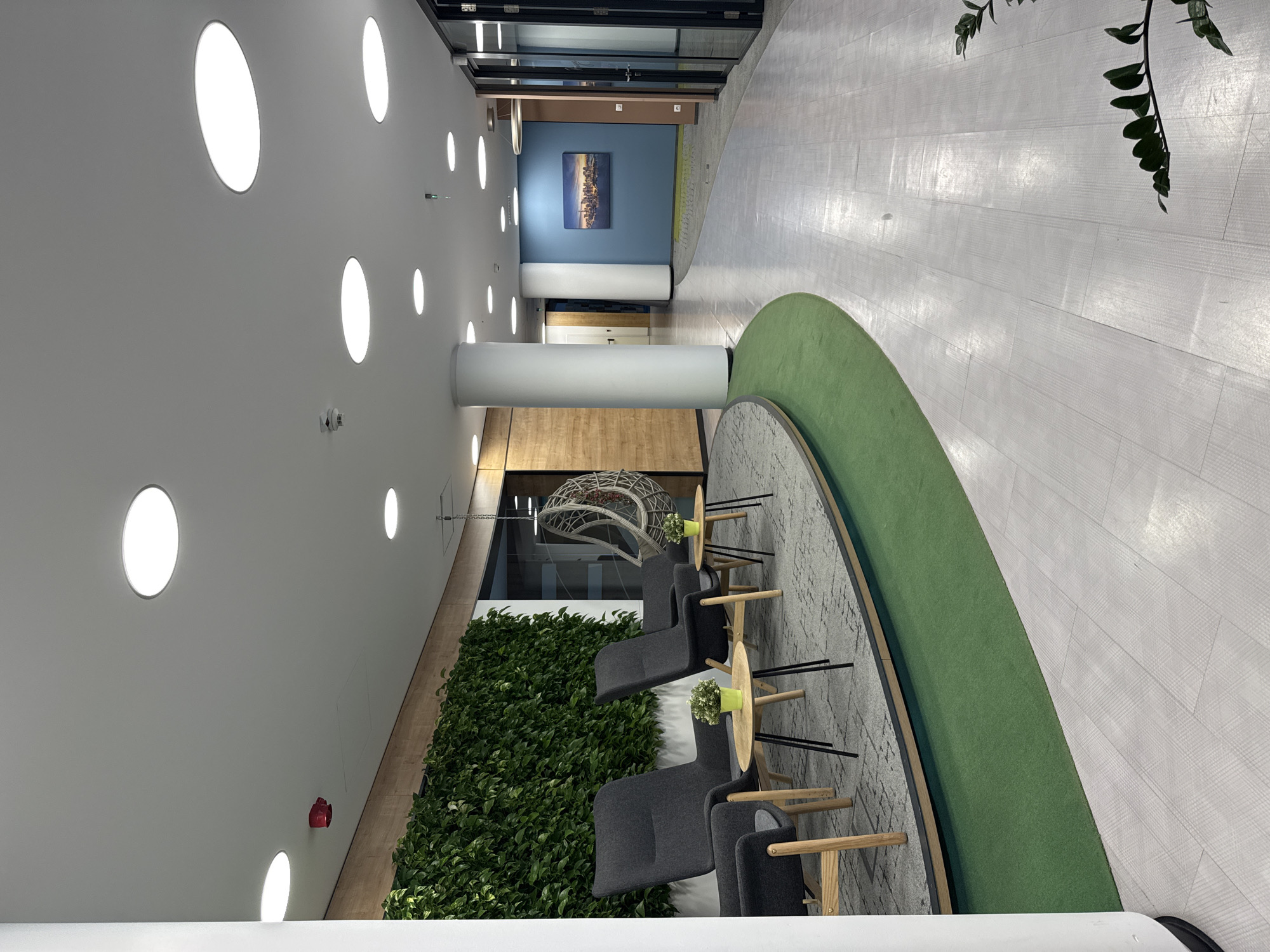 Modern office interior with green wall documented in Sofia
