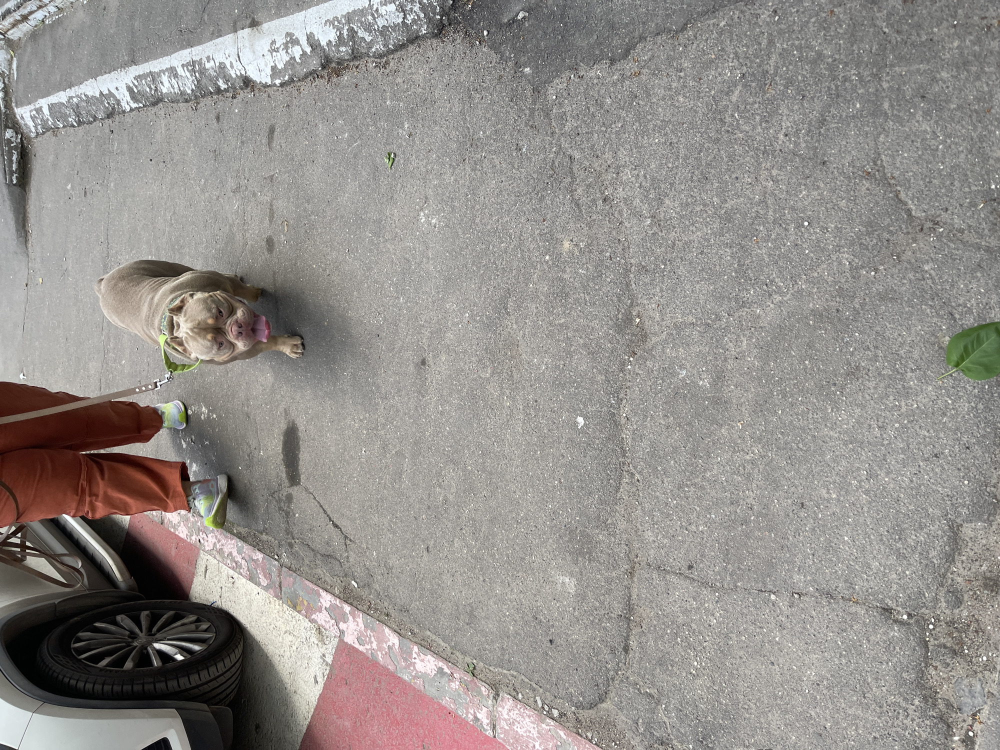 Moscow neighborhood life documented over two morning hours