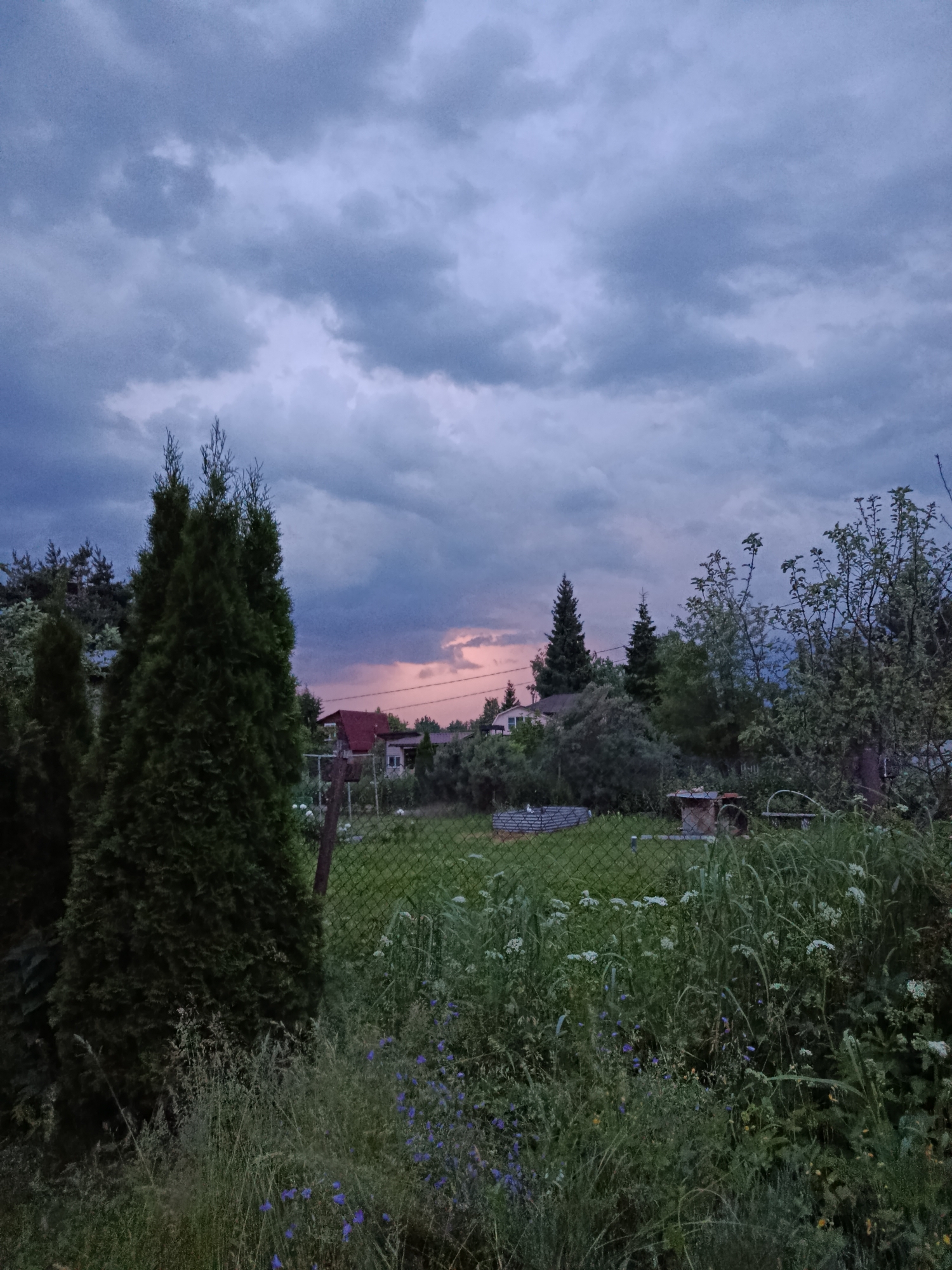 Evening stroll through rural Alferovo village with stork nest