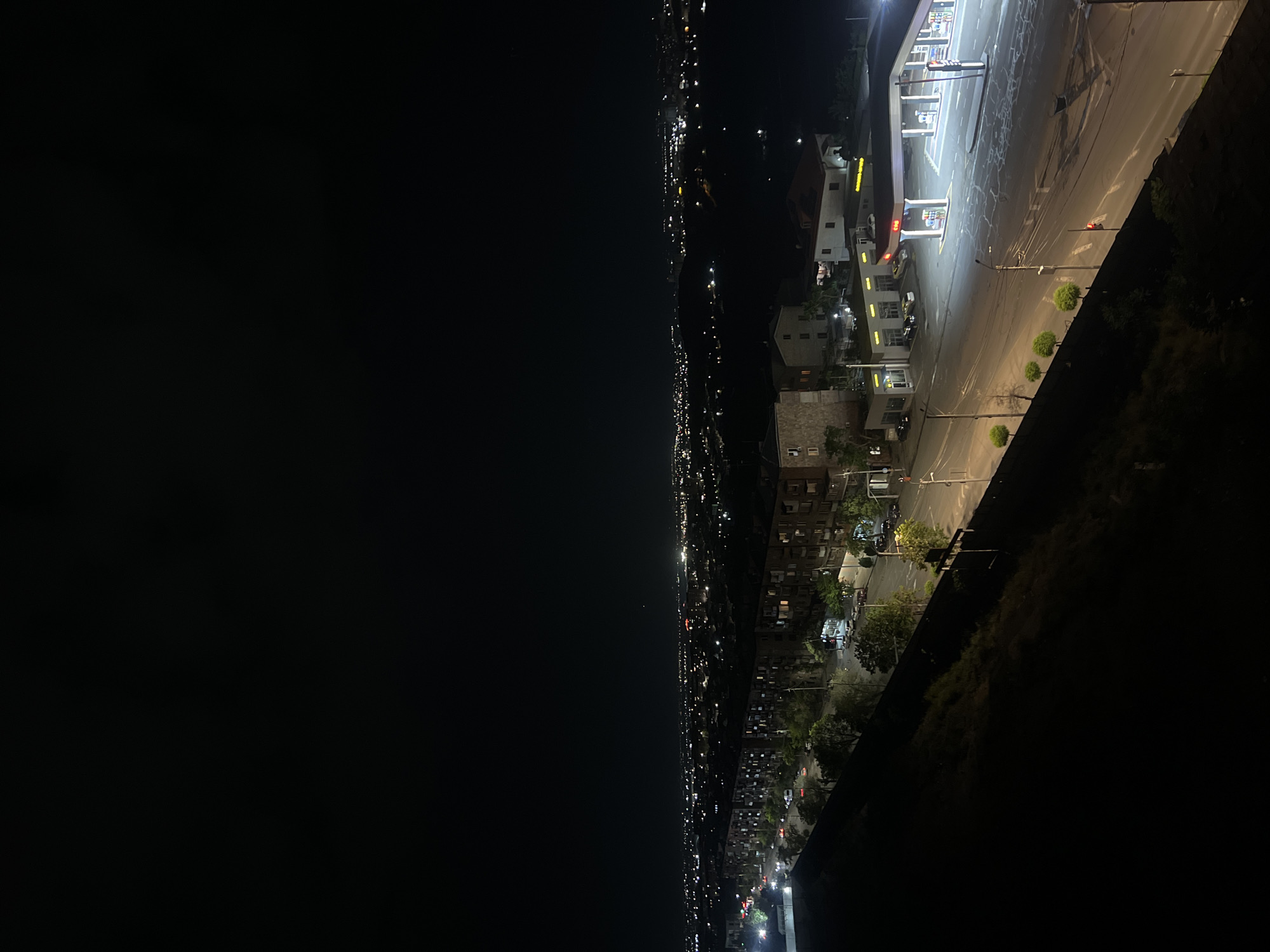 Evening cat encounter documented on Yerevan streets