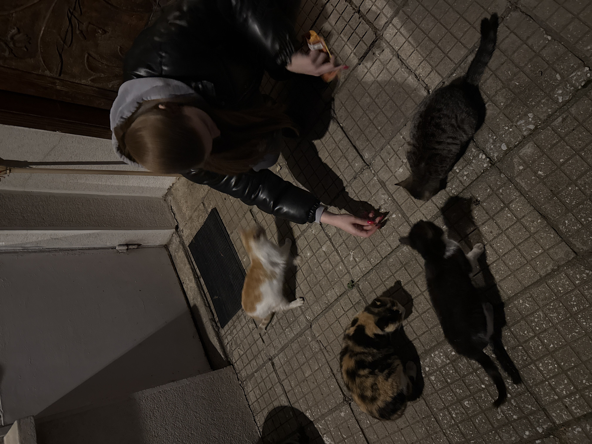Woman feeds four cats in Bulgarian village