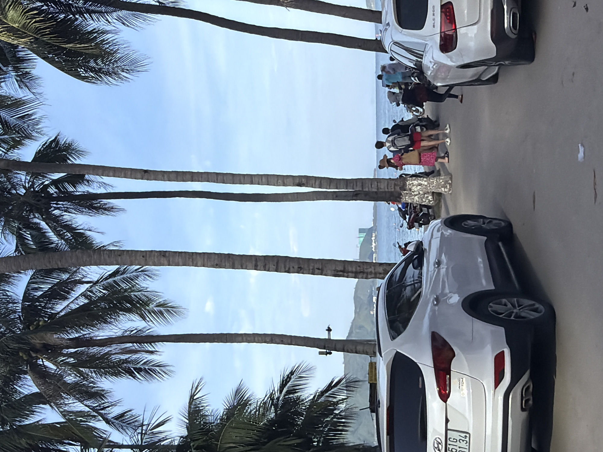 Palm-lined coastal road observed in Nha Trang, Vietnam