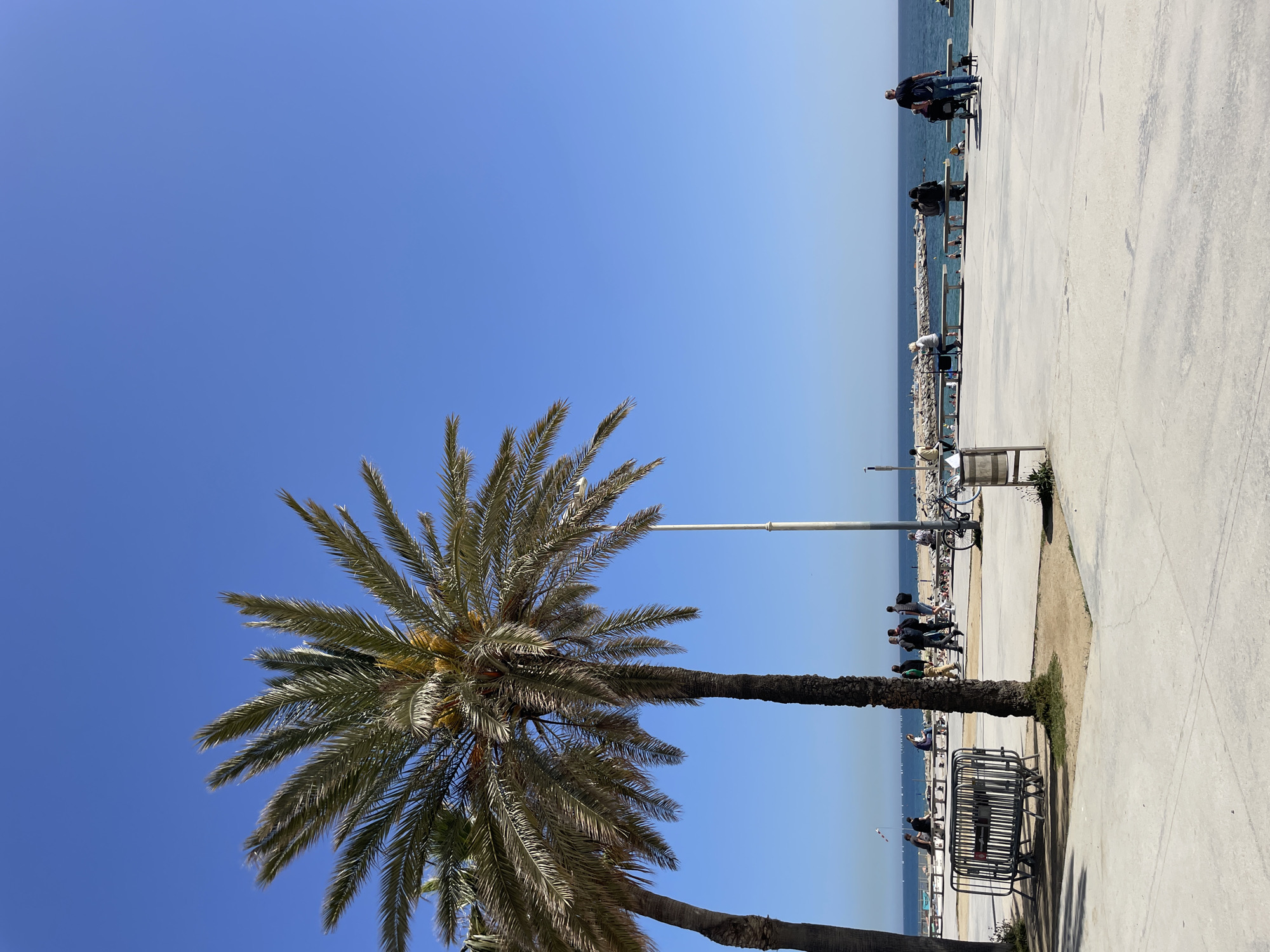 Barcelona beachside promenade documented under clear skies