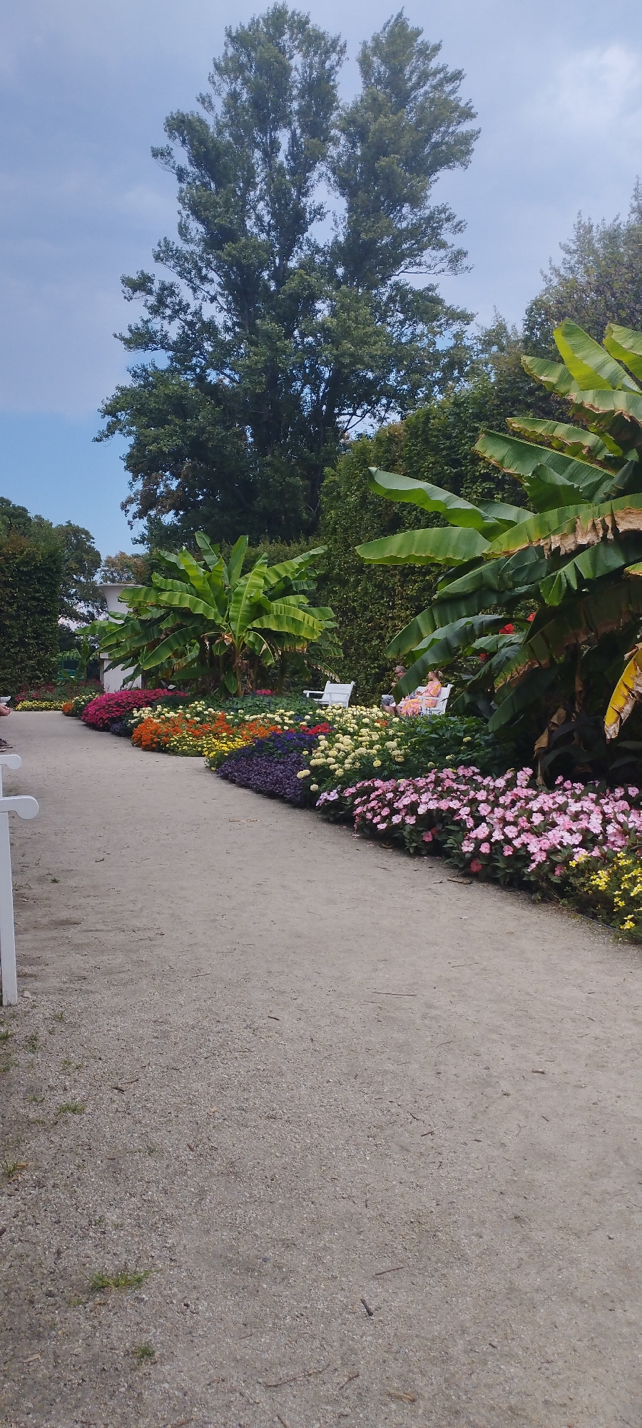 Royal Castle gardens in Warsaw, flowers in full summer bloom