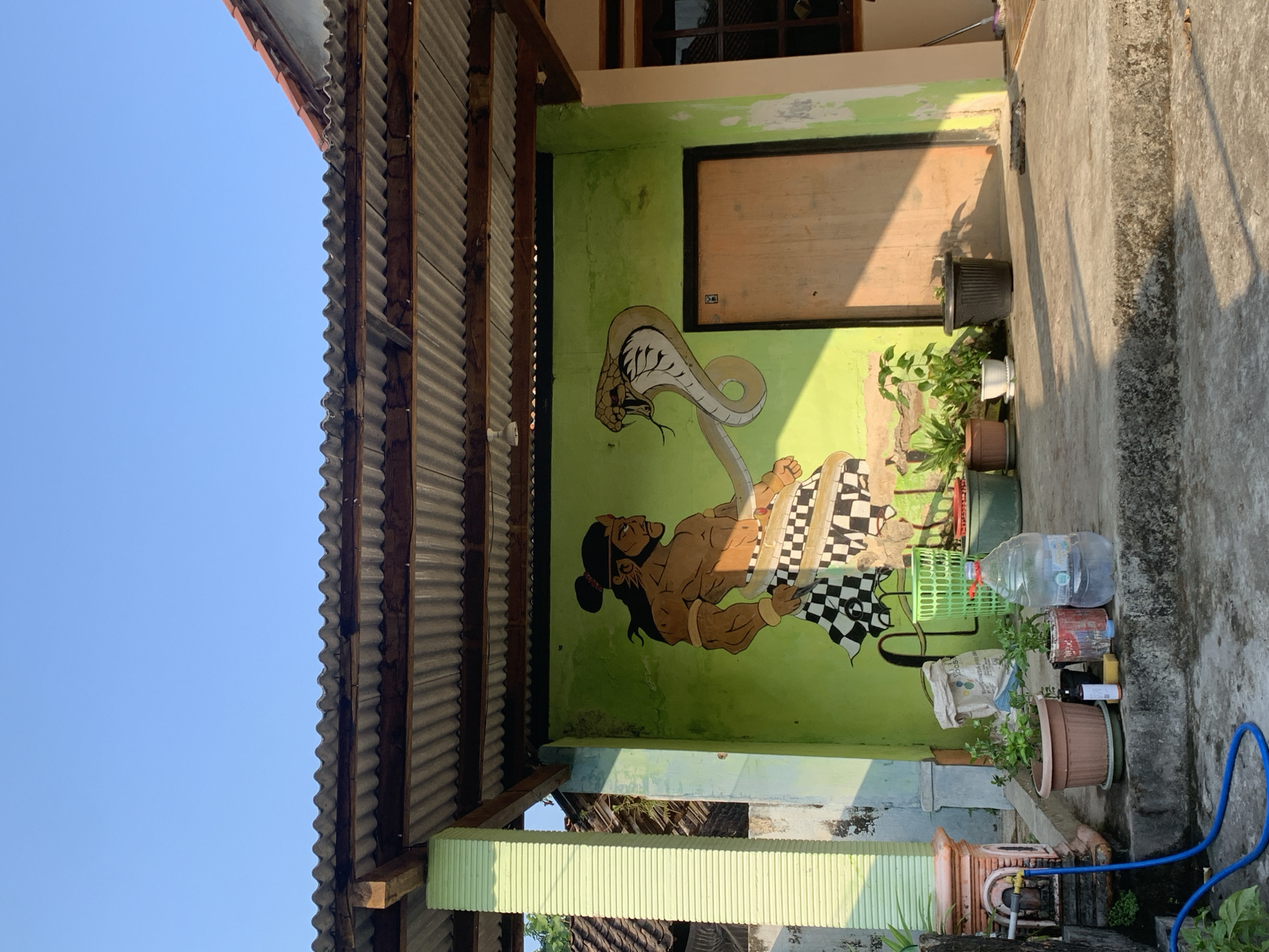 Everyday life in a small Indonesian village: animals, plants, streets