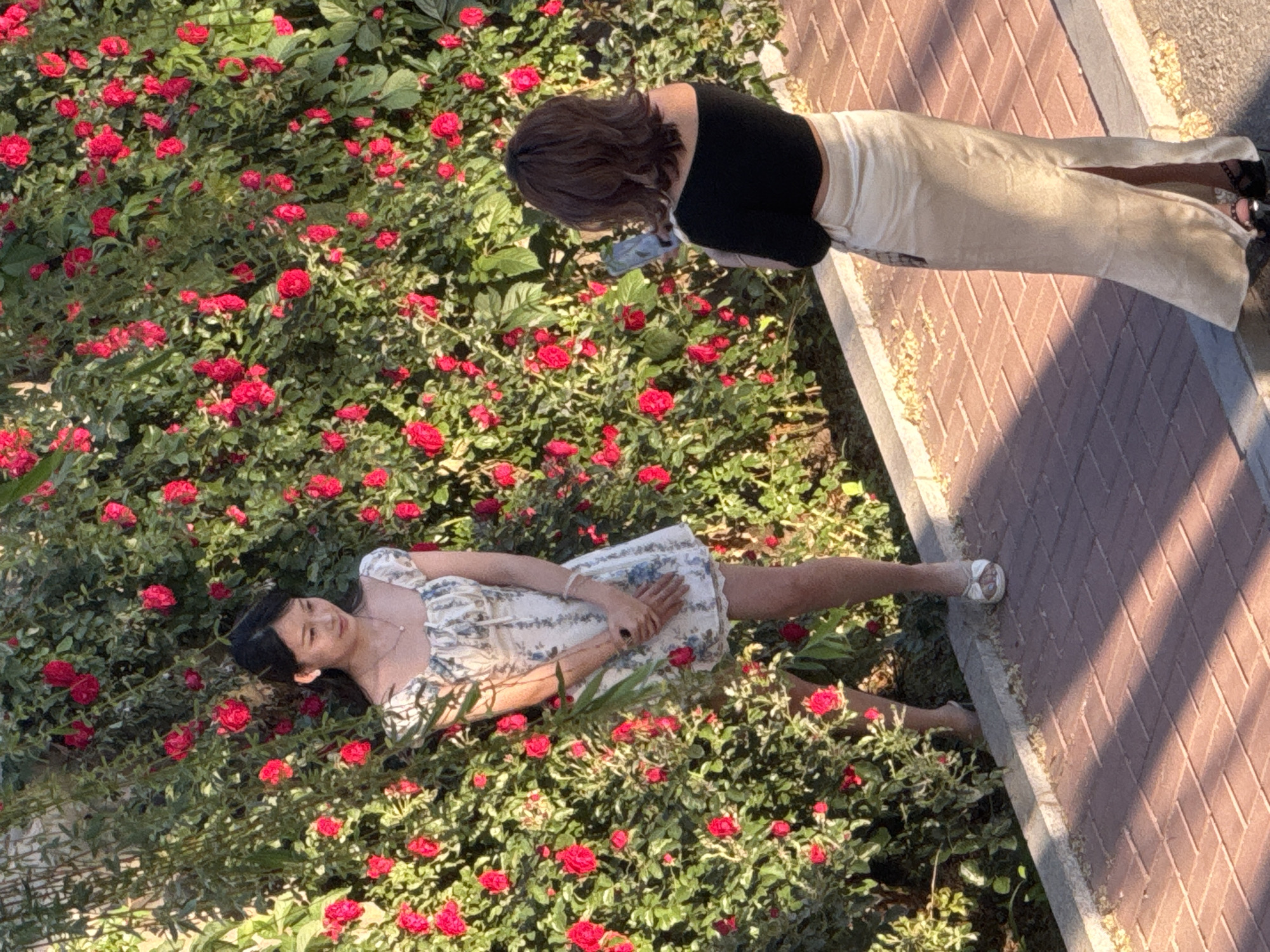 Women pose among rose bushes for photos in Zhongtun