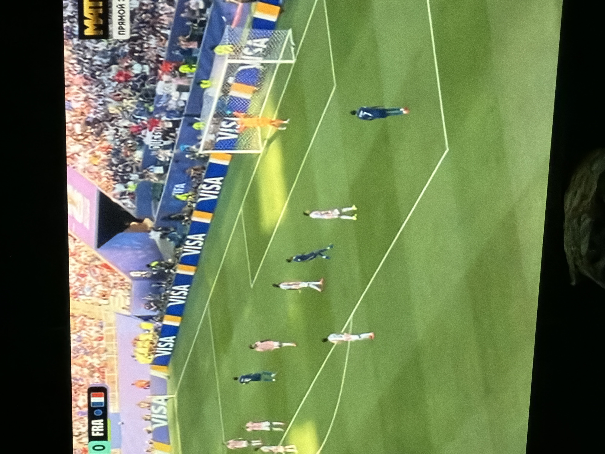 France match on TV, Golden Retriever on the floor, Partenit evening