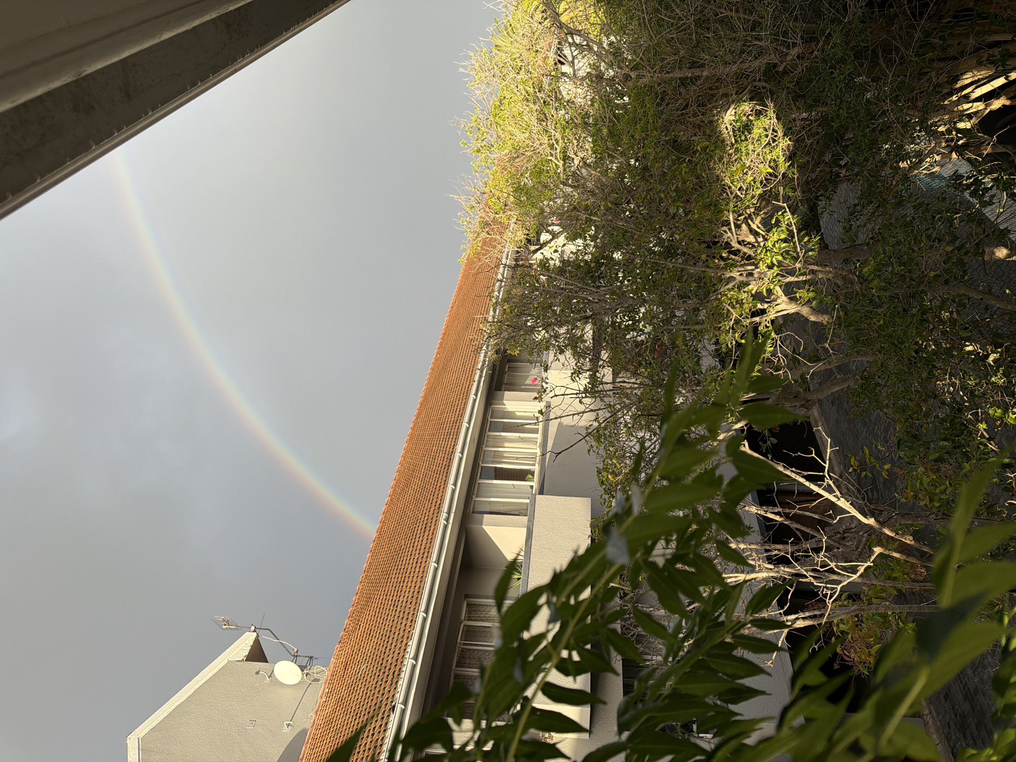Rainbow appears over Cape Town residential area early morning