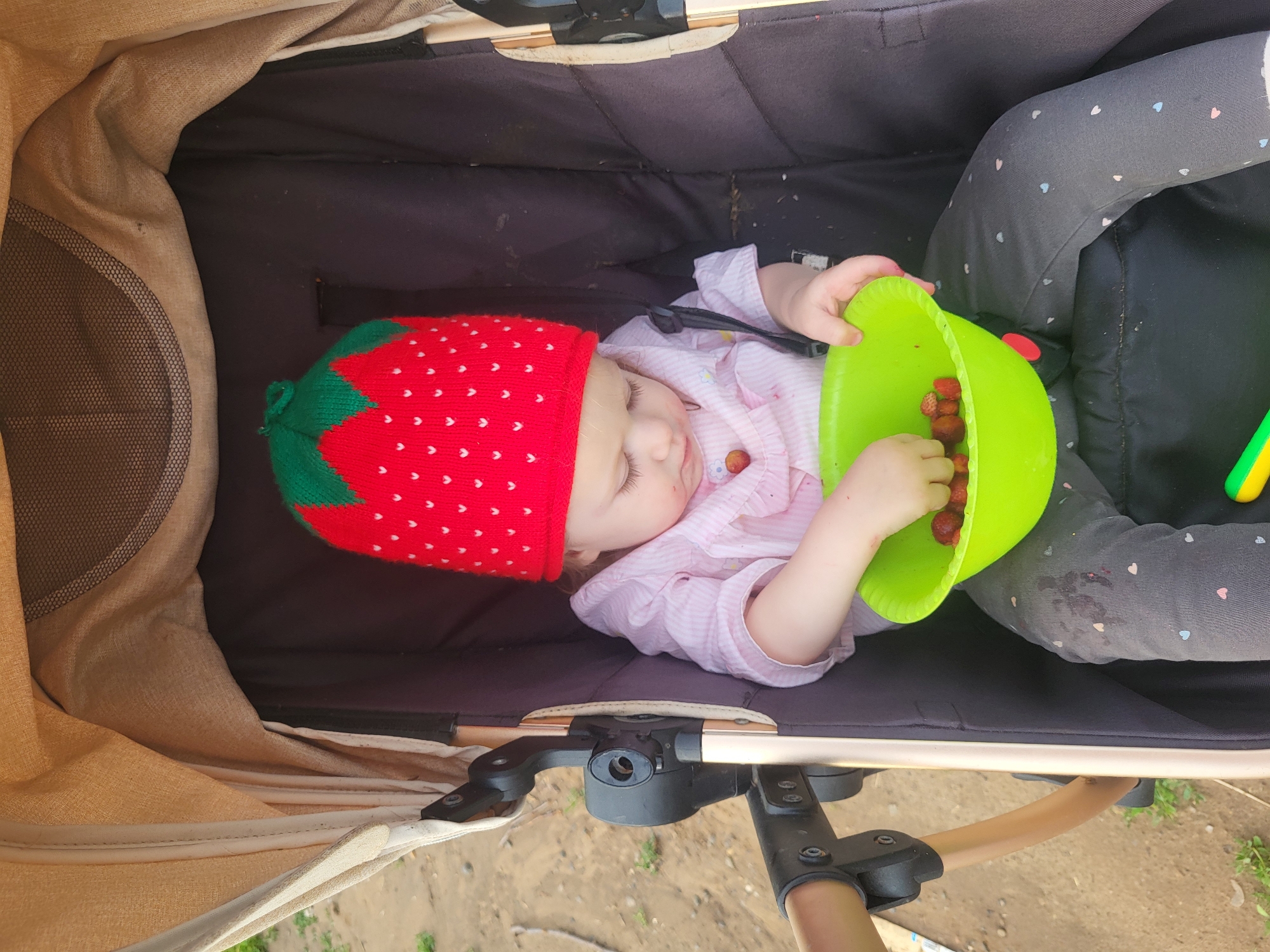 Summer afternoon in a Russian village: strawberries, bikes, and muddy roads