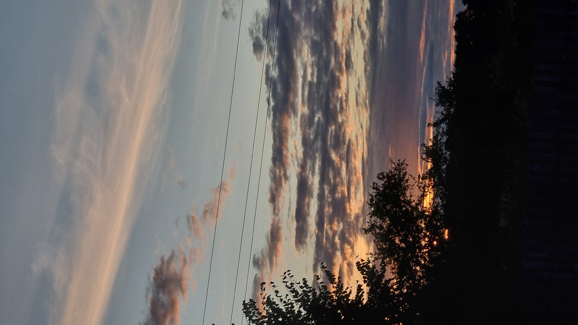Sunset skies and a Scottish Fold cat in Vysokoe, Russia