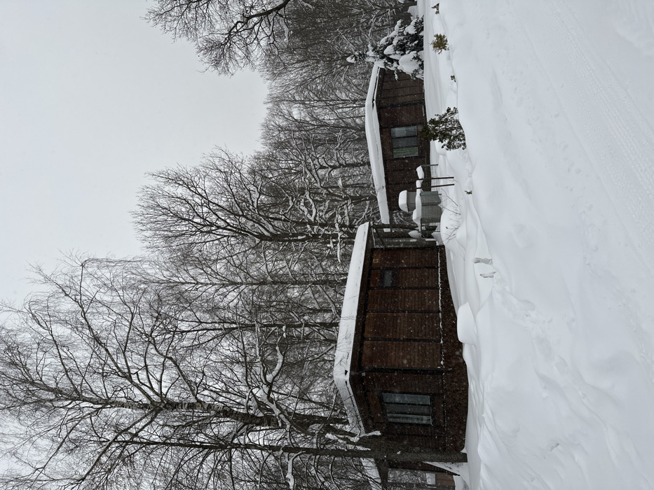 Winter visit to Russian animal sanctuary during heavy snowfall