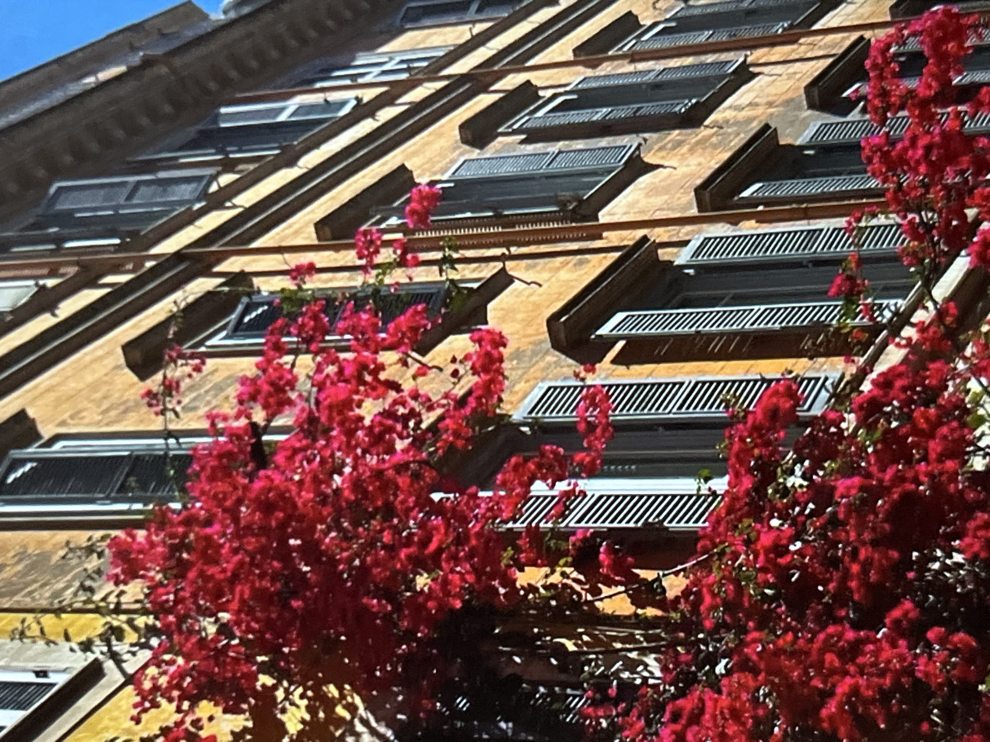 Stone towers, bougainvillea, and ceramics at a coastal historic site