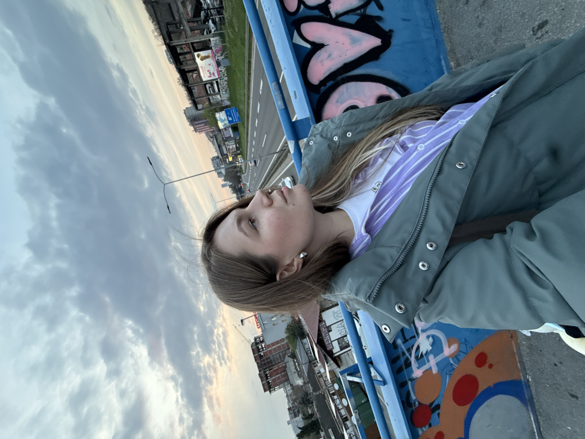Evening scenes captured in Belgrade suburb show bridge portrait, traffic