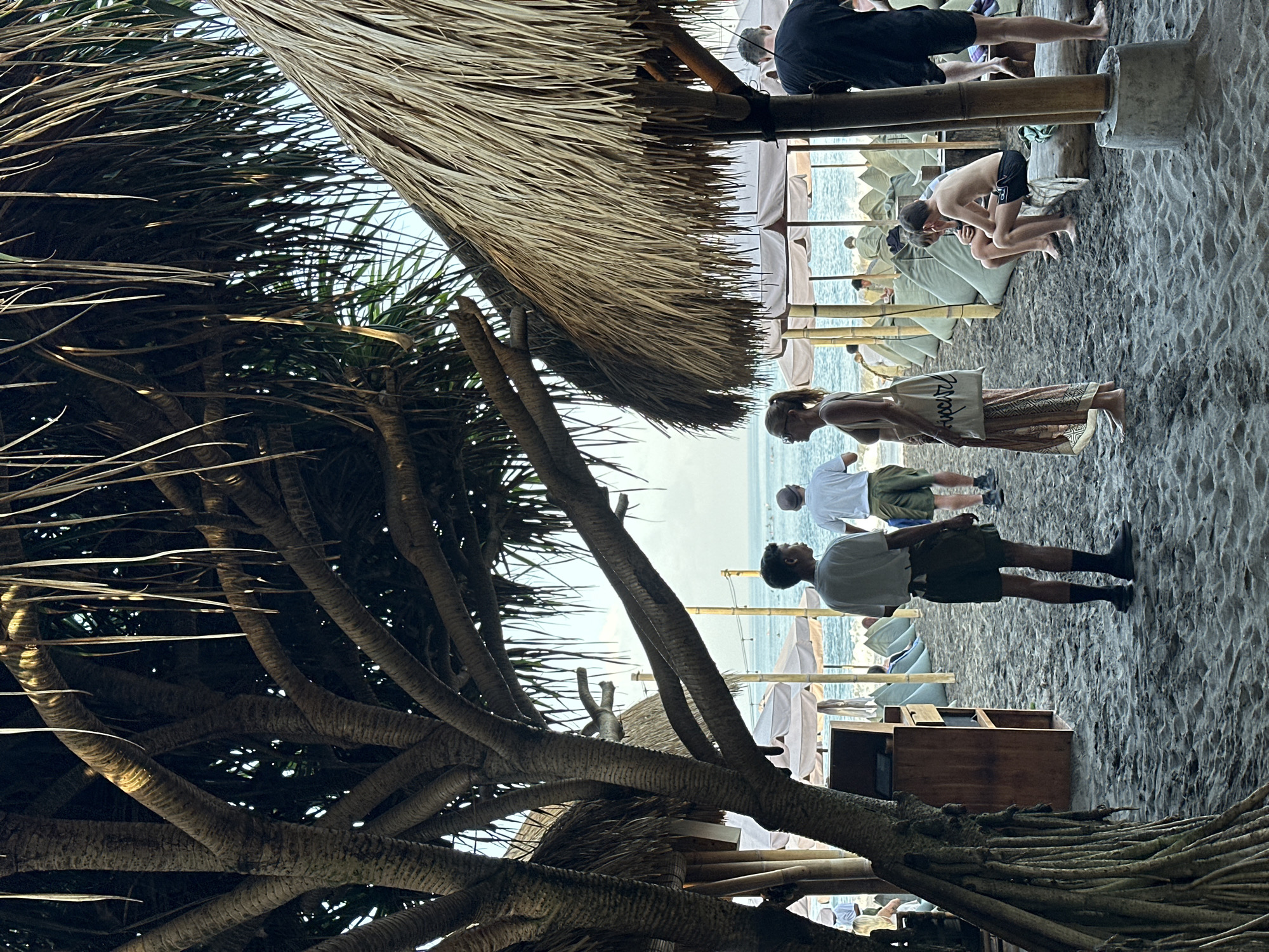Kuta beach life: surfers, dogs, and shoreline wanderers