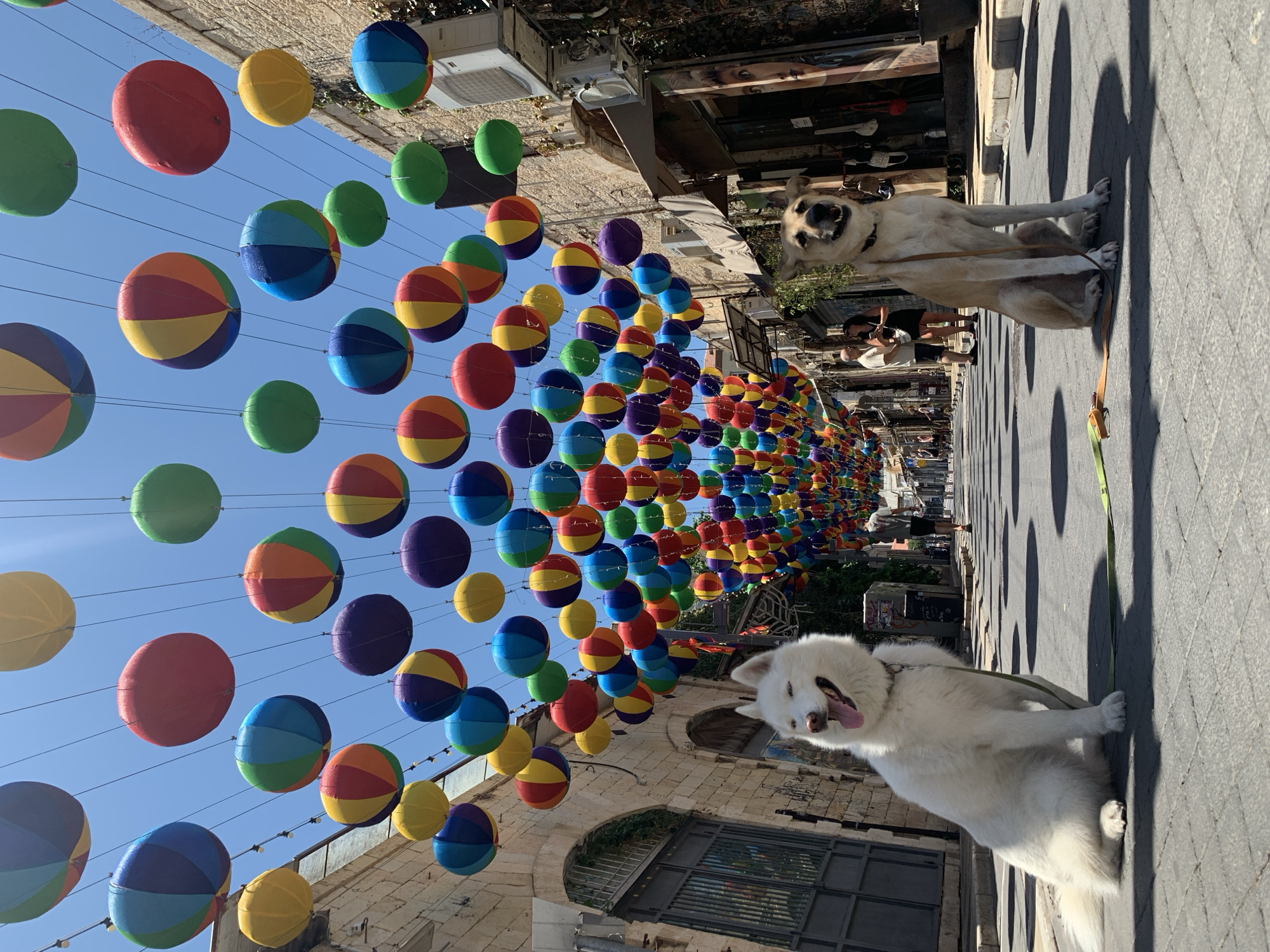 Colorful lanterns line a festive Tel Aviv street