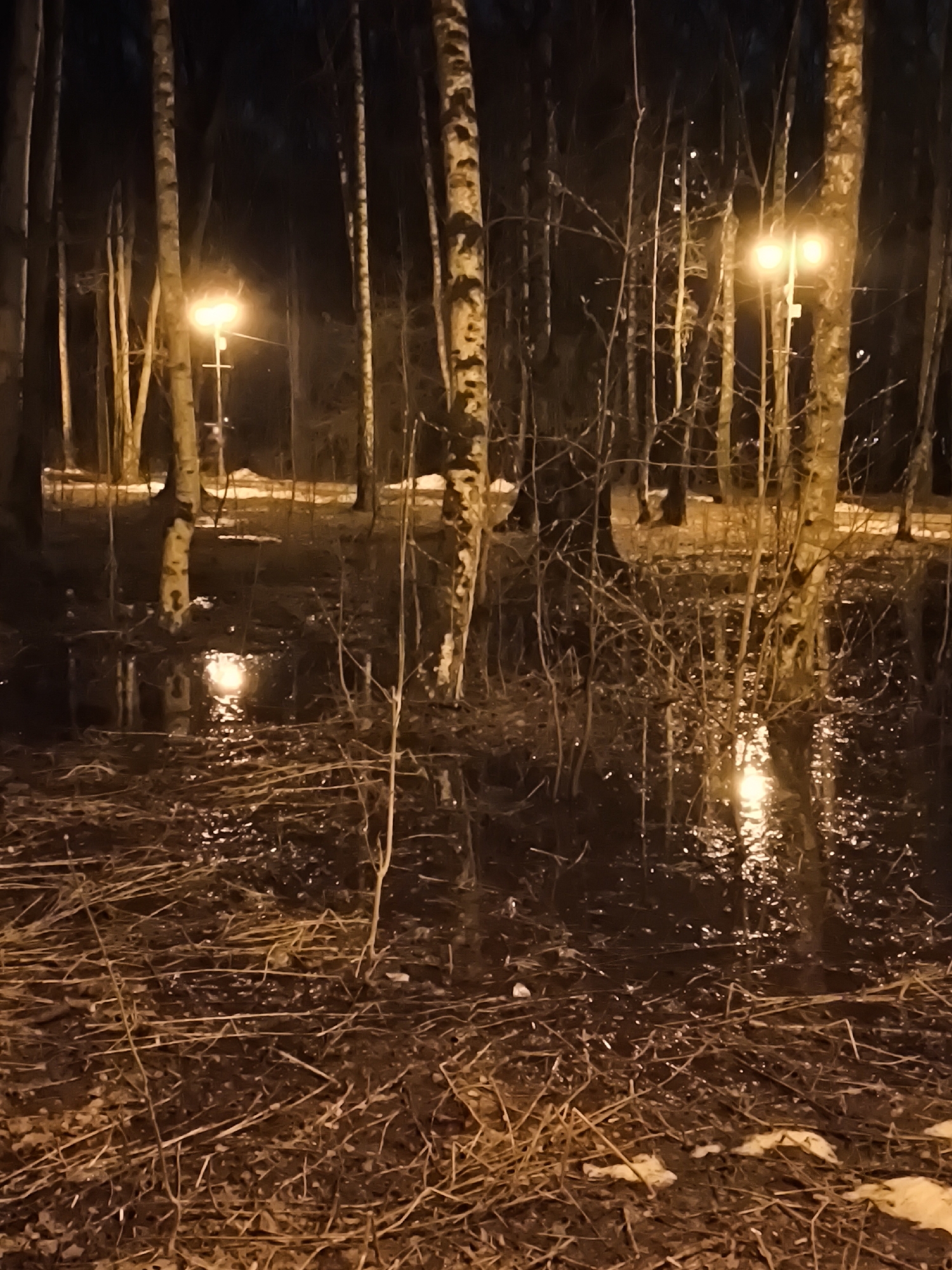 Nighttime scenes captured in Khimki featuring illuminated restaurant and flooded trees