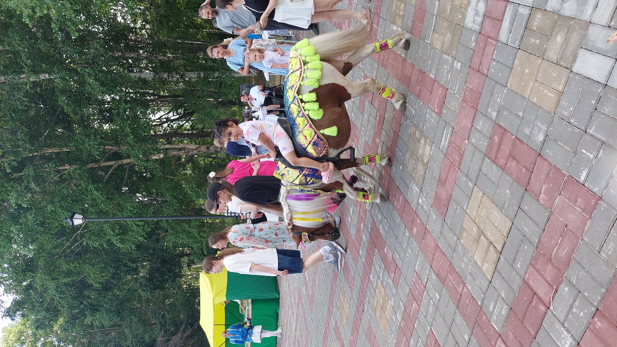 Park event in Komsomolsk-on-Amur with pony rides and craft vendors