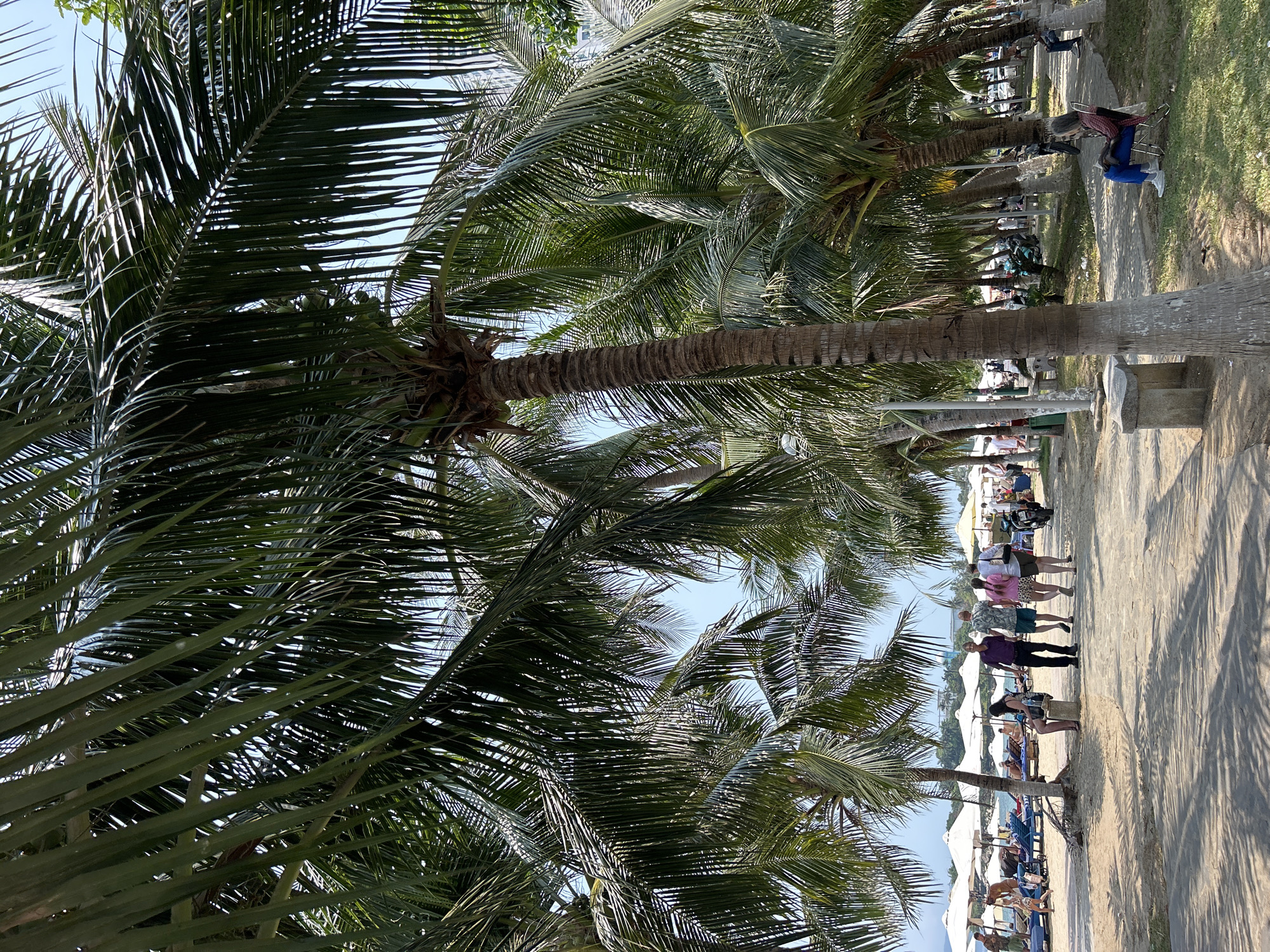 Witness documents leisurely beach life in Nha Trang, Vietnam