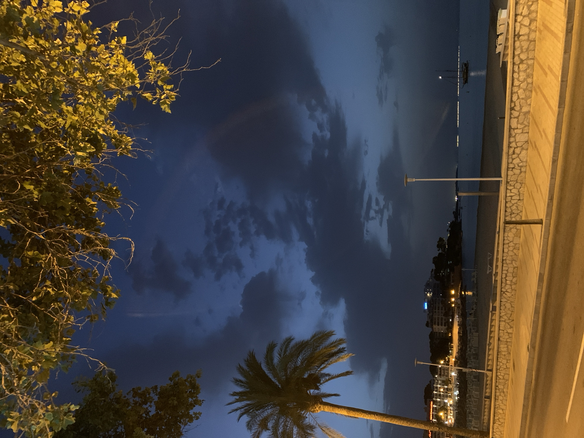 Palmanova coastline at dusk — palms, streetlights, and calm sea
