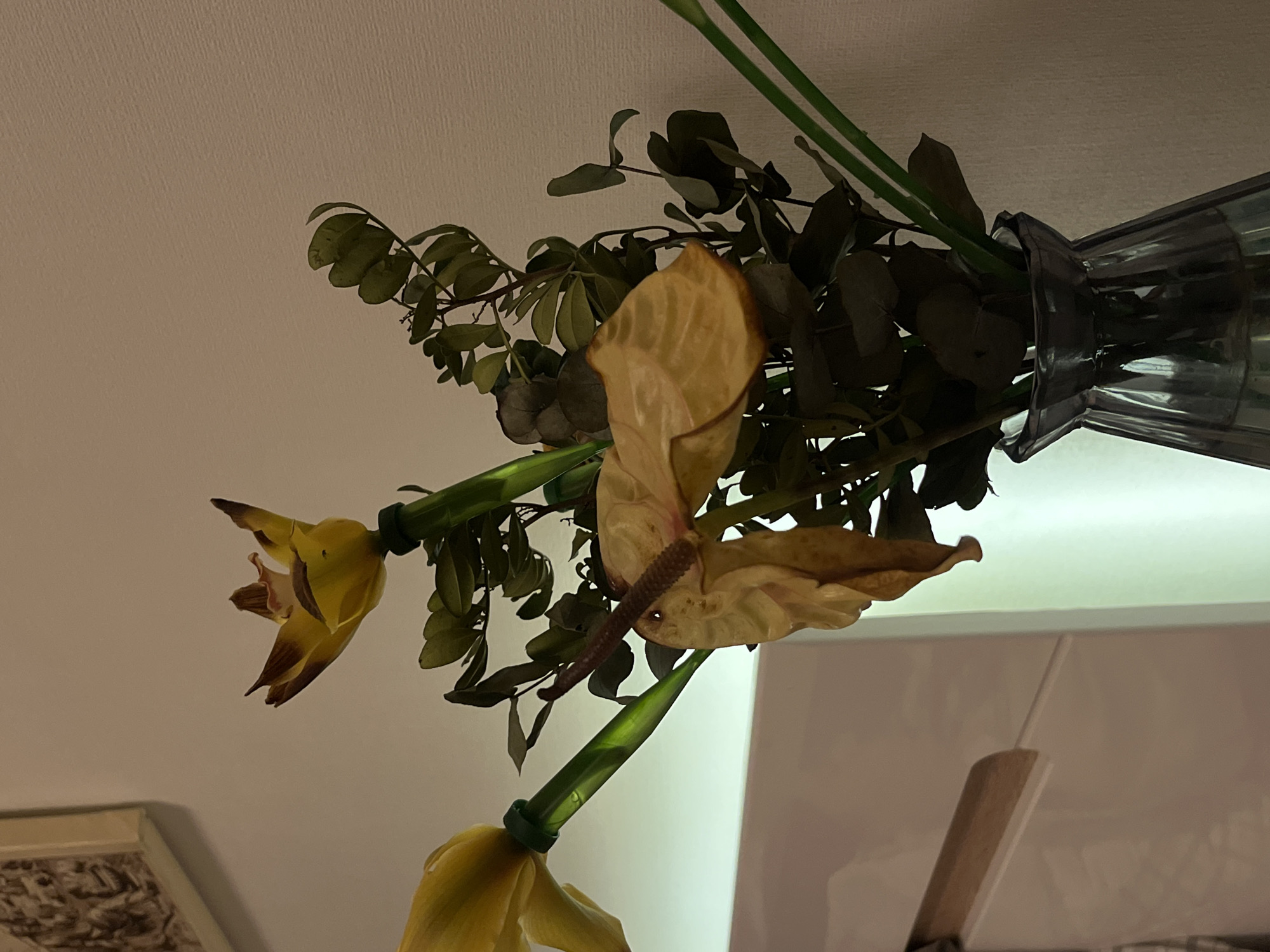 Evening bedroom moments captured in warm lamplight over 45 minutes