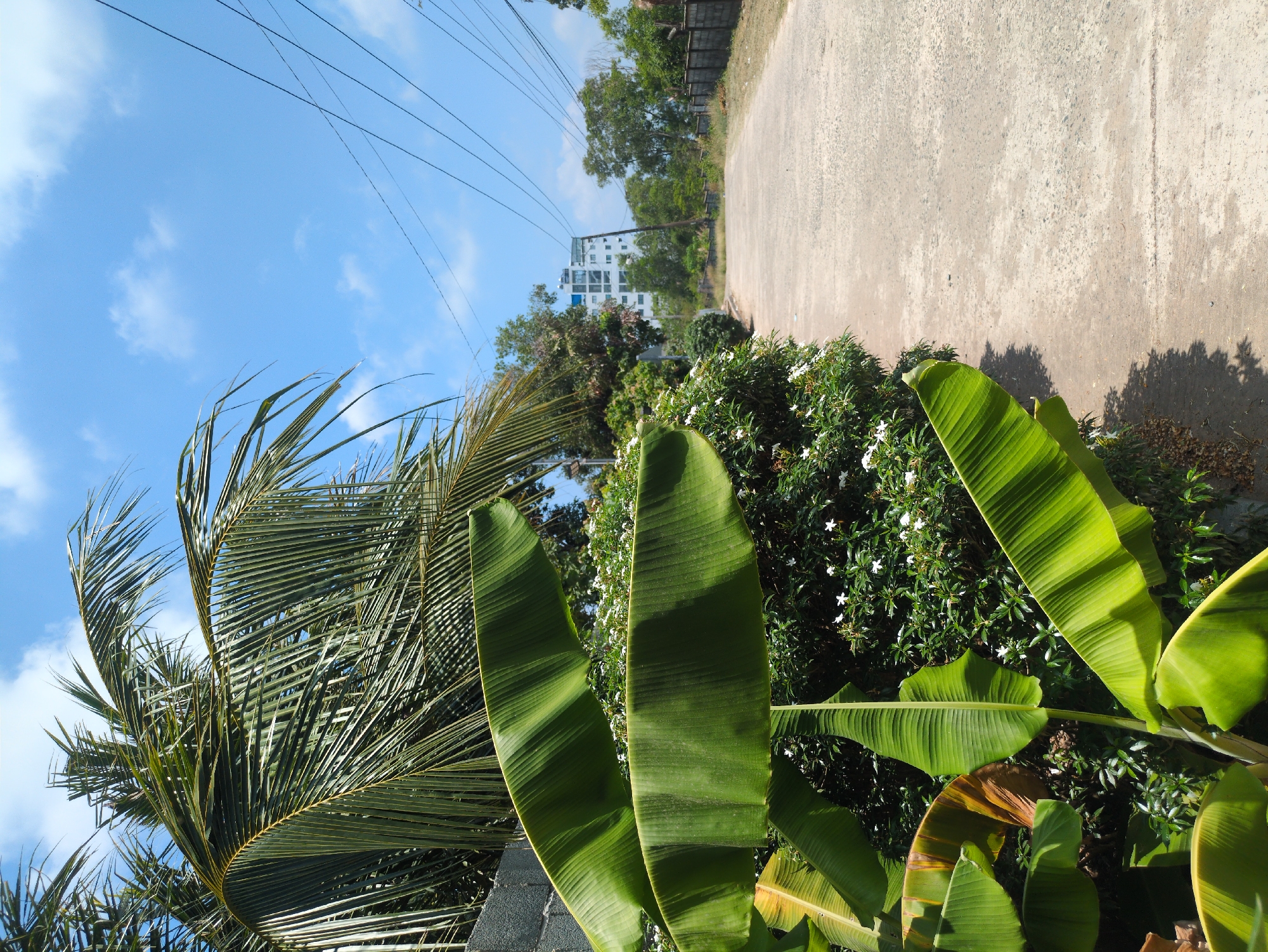Morning walk captures tropical island life in Phú Quốc