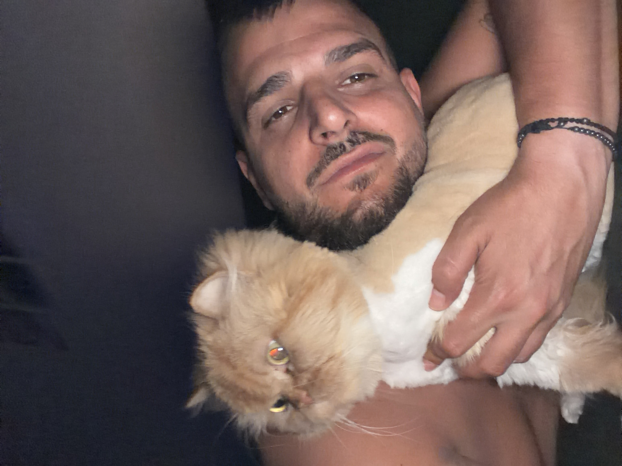 Man shares quiet evening moments with tabby cat in Sofia