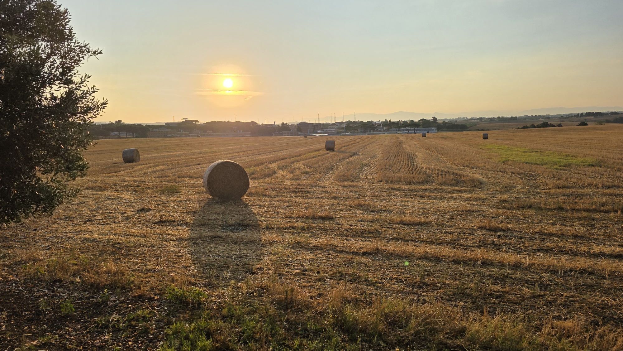 Golden hour over a harvested wheat field outside Rome