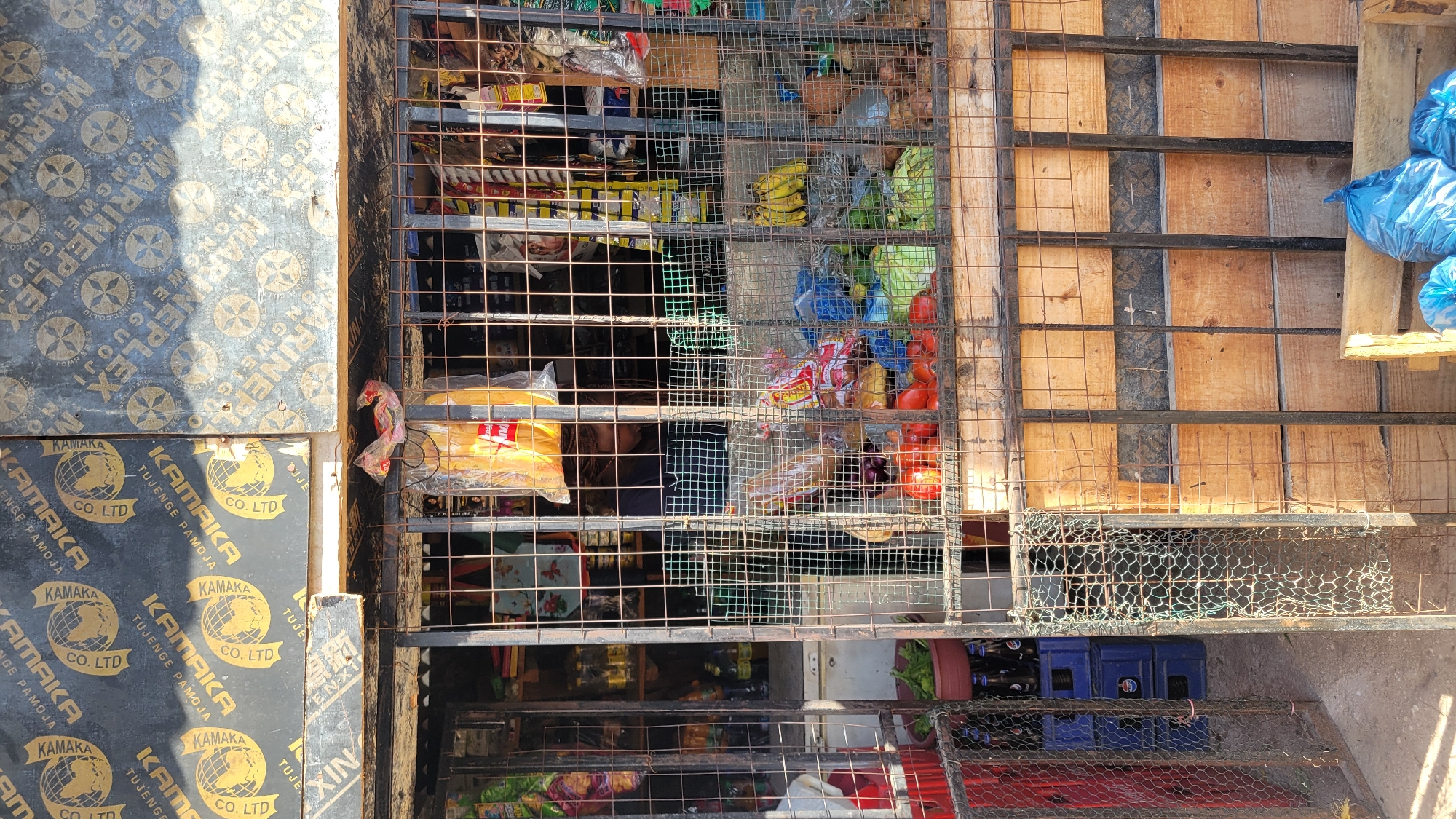 Street stall and roaming geese in dusty Dar es Salaam