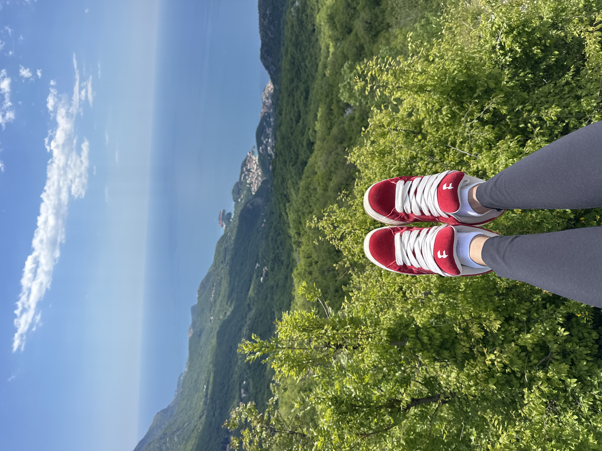 Scenic mountain views and grilling documented in Brajici, Montenegro