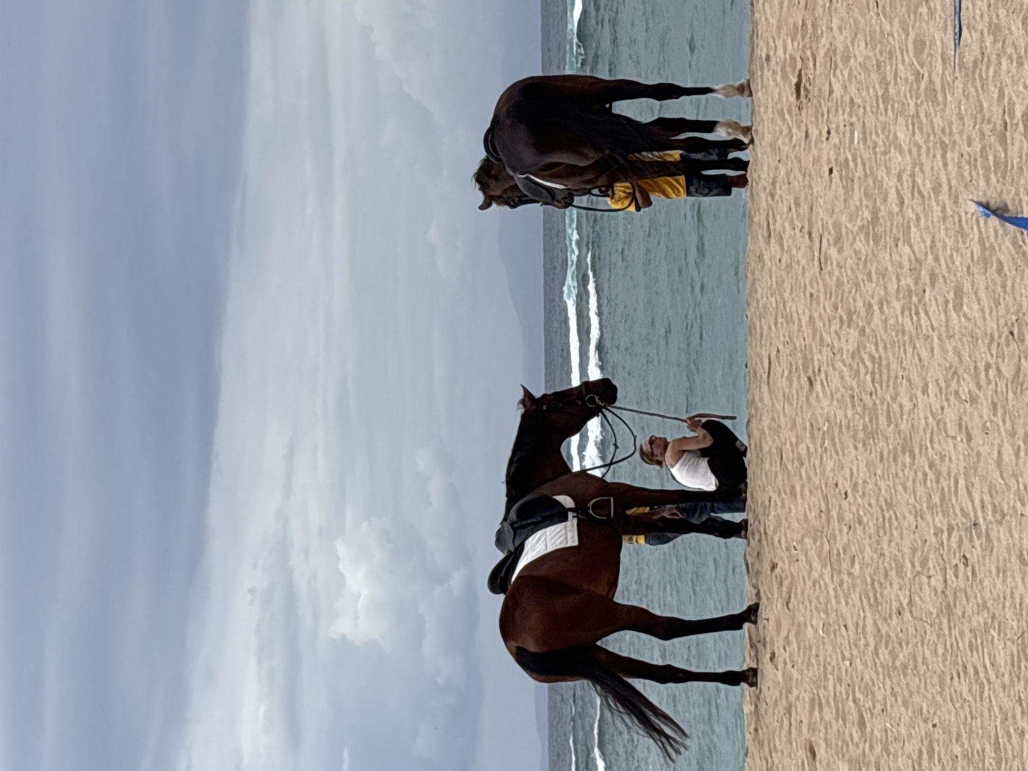 Saddled horses on a cloudy Kuta Selatan beach