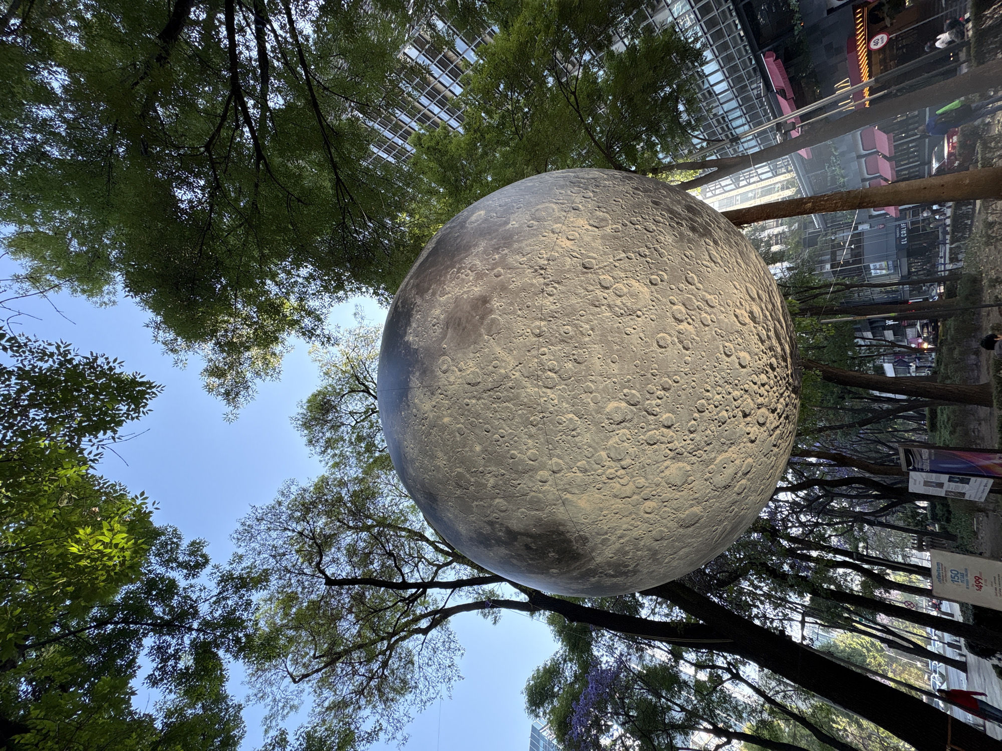 Public art tour documented along Mexico City's Paseo de la Reforma