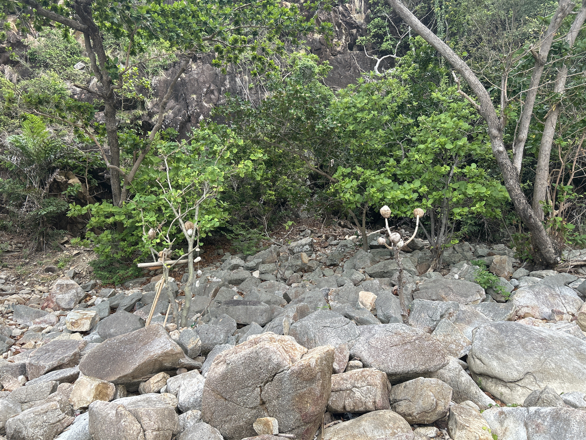 Rocky coastline documented on Koh Phangan, Thailand