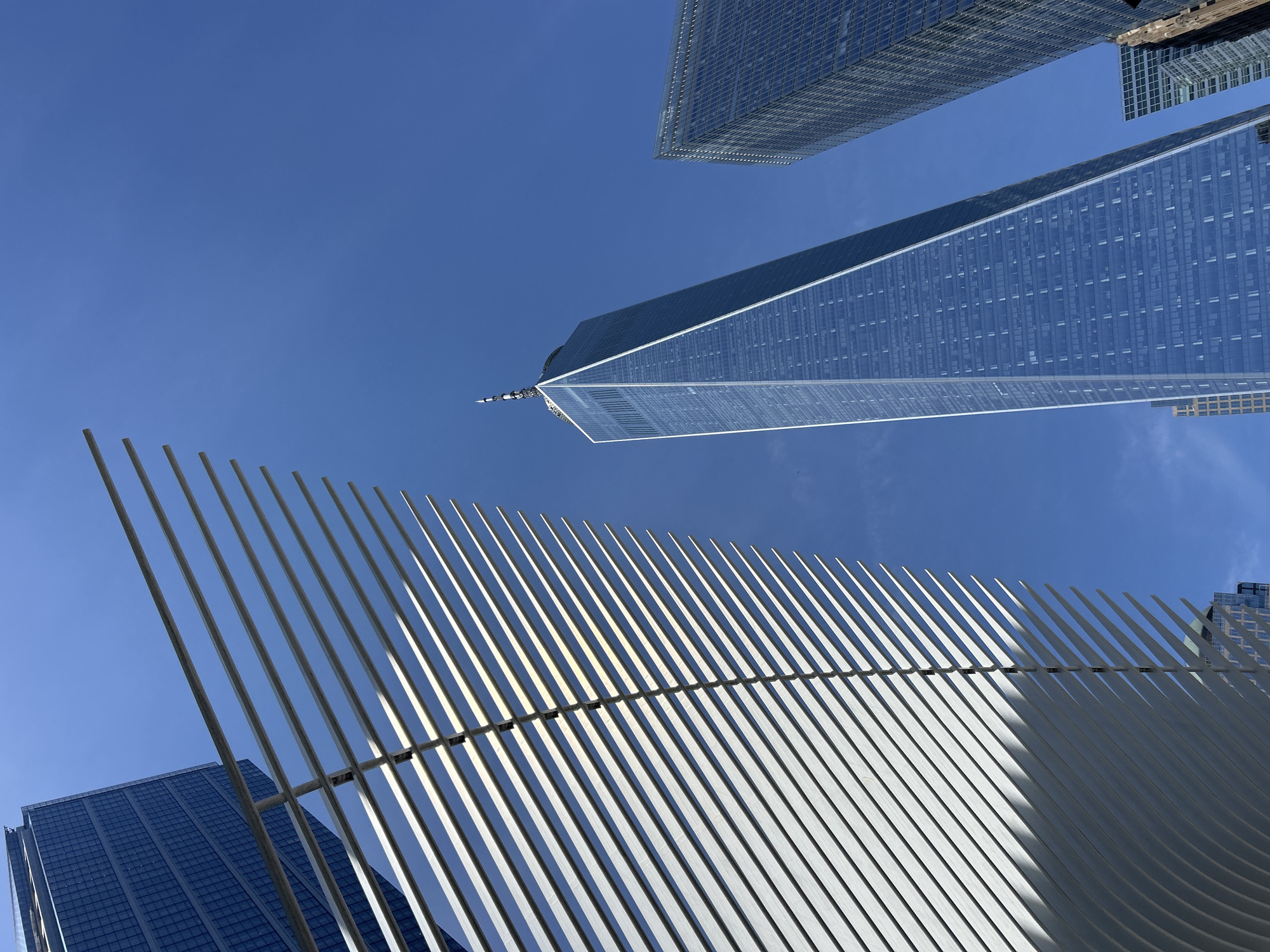 Witness photographs NYC skyline from World Trade Center area