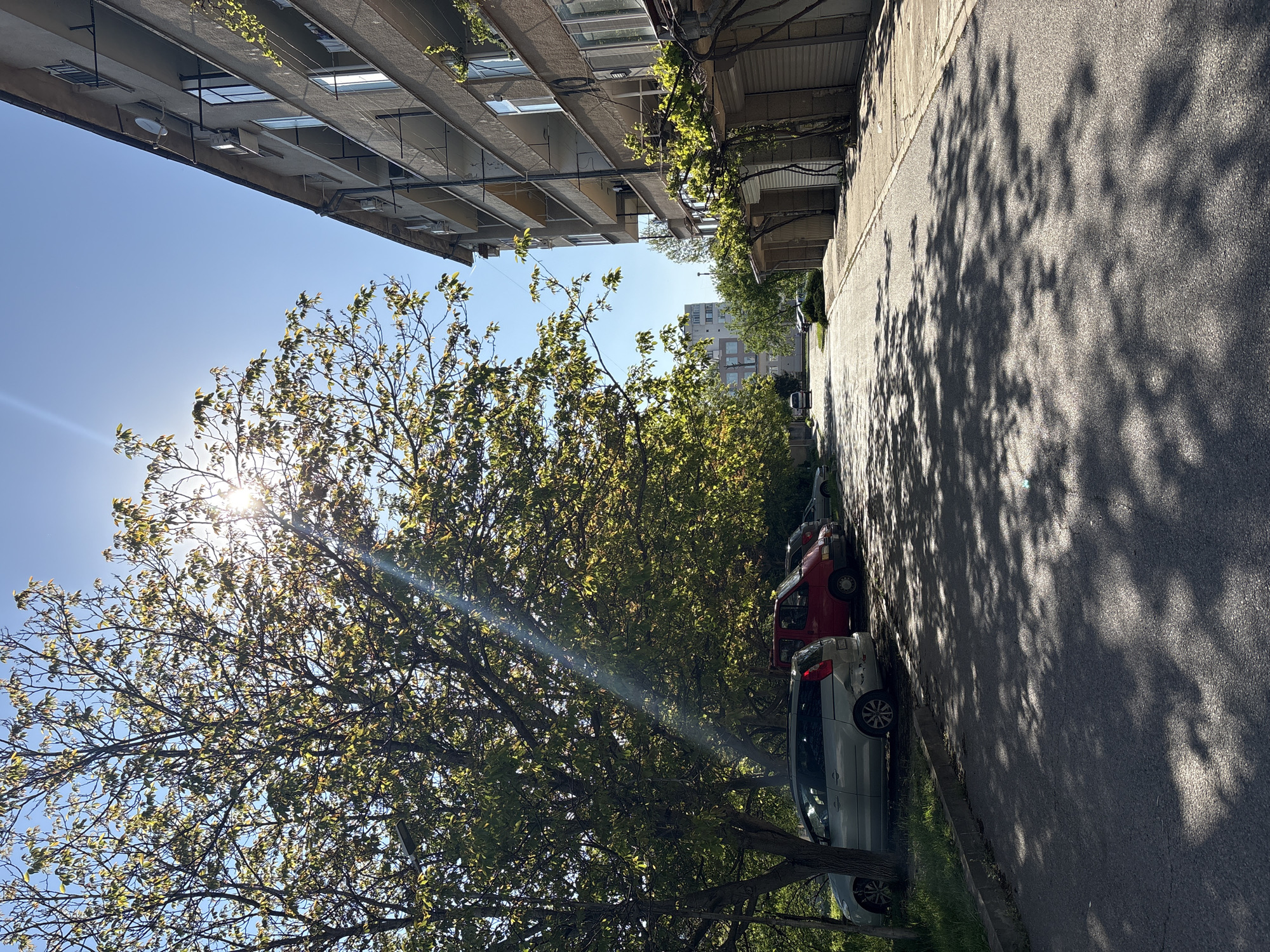 Ordinary street scenes documented across unknown neighborhood Monday afternoon