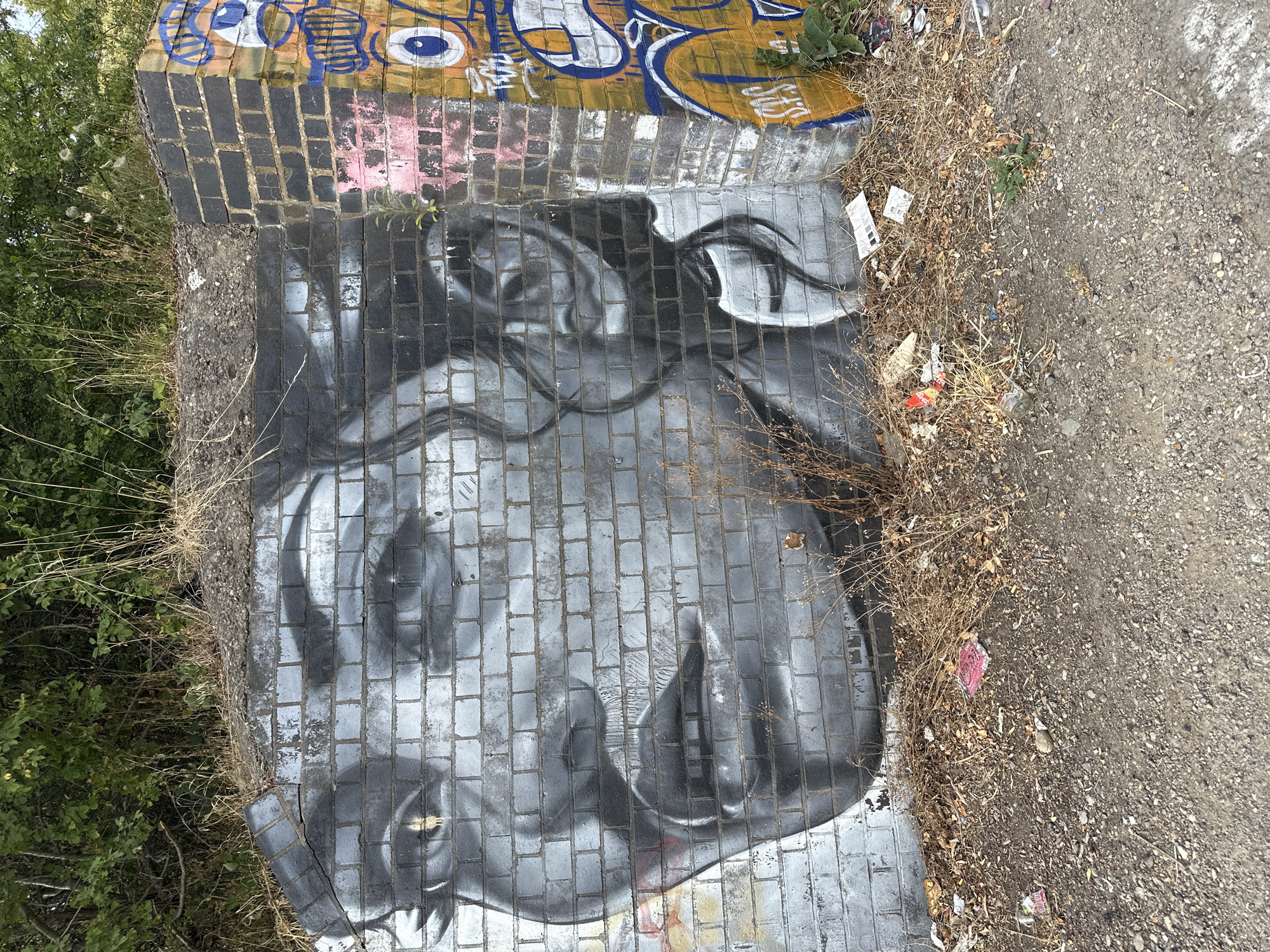 Street art, wood carvings, and murals dotting Rugby's public spaces