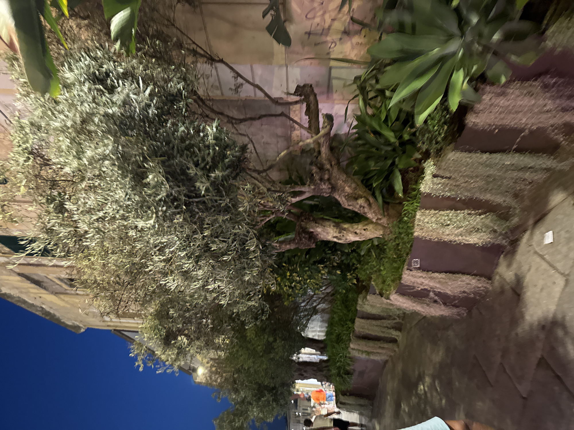 Evening walk through Olbia's historic center, Sardinia