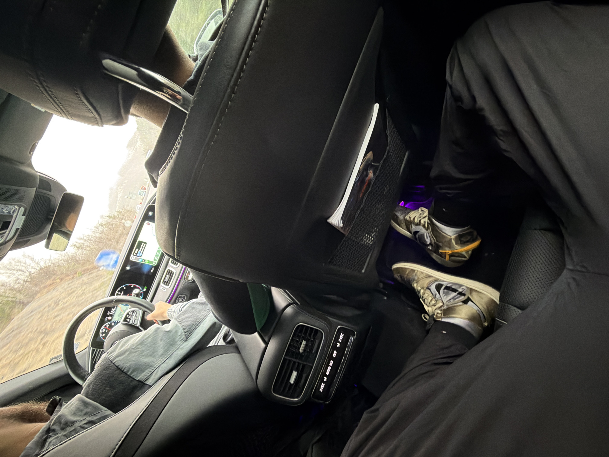Driver photographed from back seat in moving vehicle, Pravets