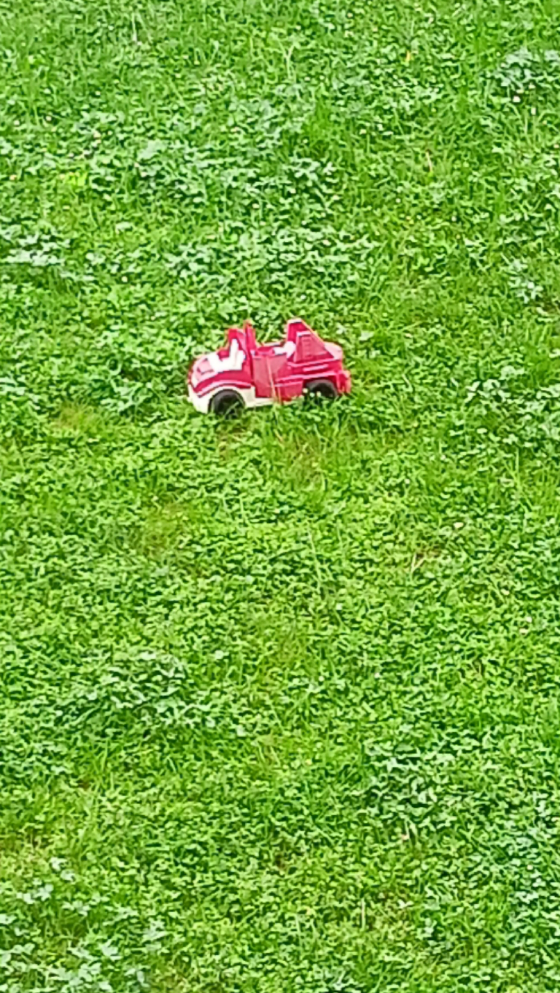 Red toy truck spotted in grassy outdoor area
