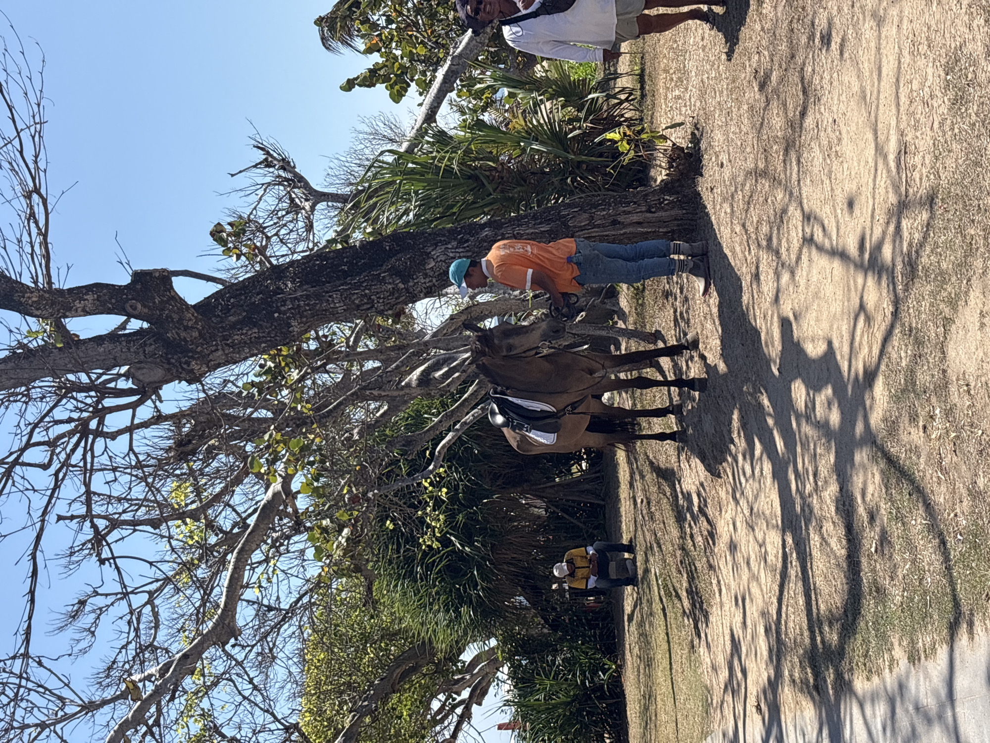 Horse and handlers at a coastal green space in Kuta Selatan