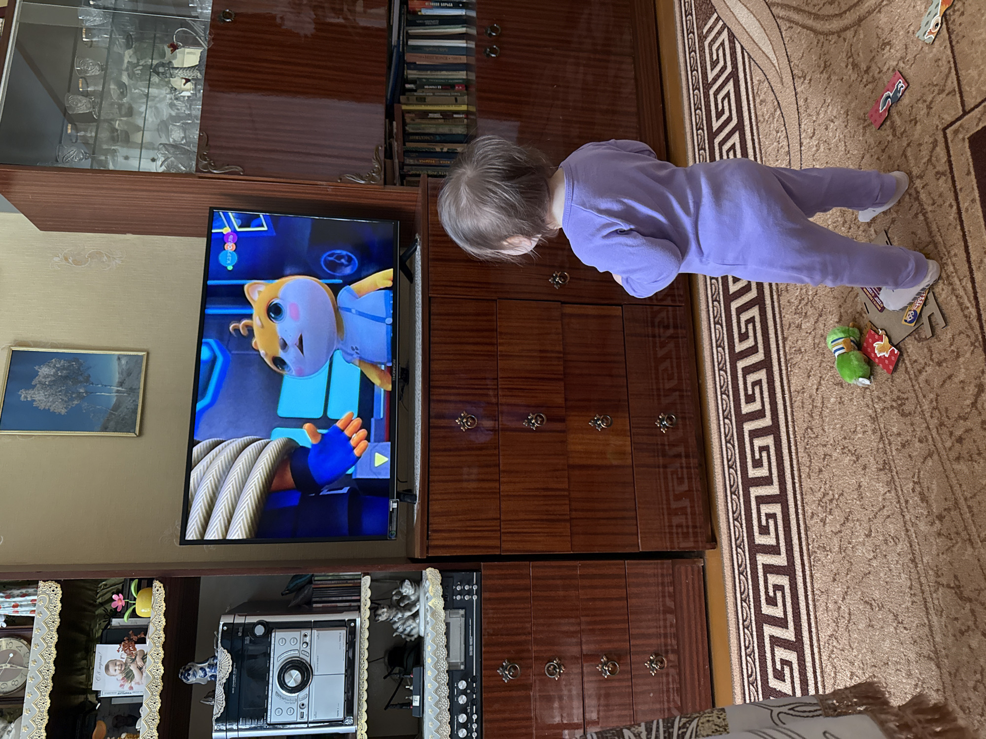 Child watches cartoons on TV in Vyshegor home