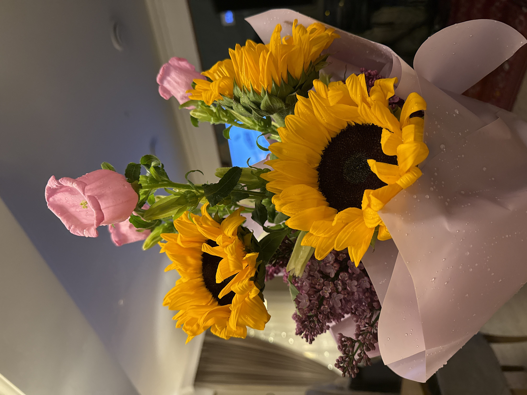 Moscow residents capture quiet evening moments with flowers, tea