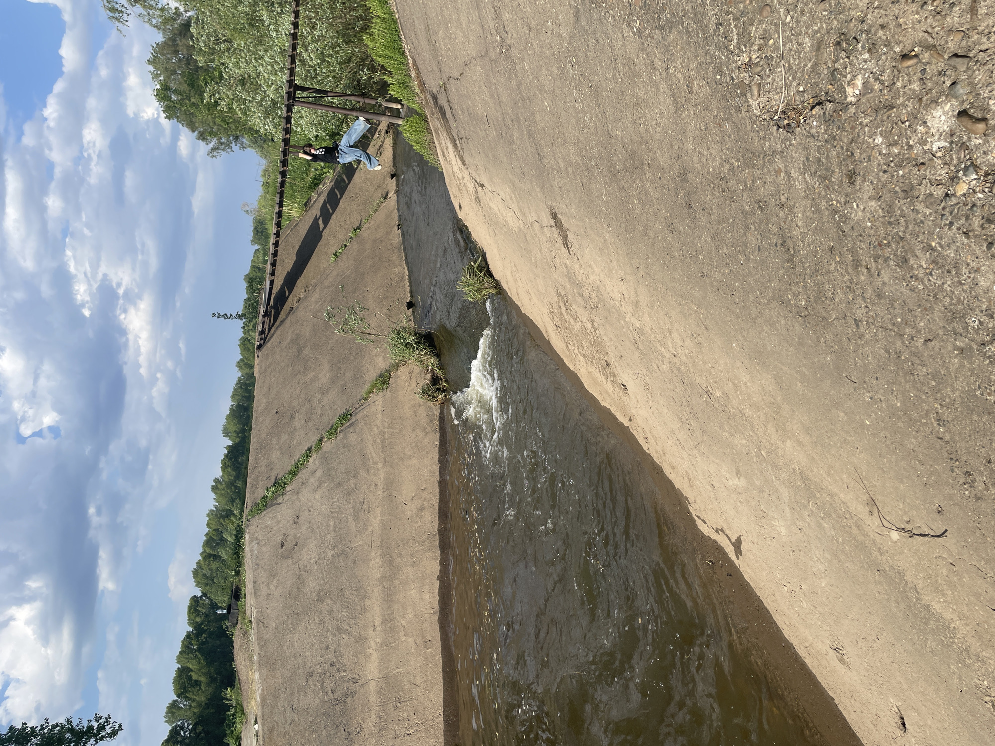 Peaceful fishing and wildlife spotted along concrete canal waterway