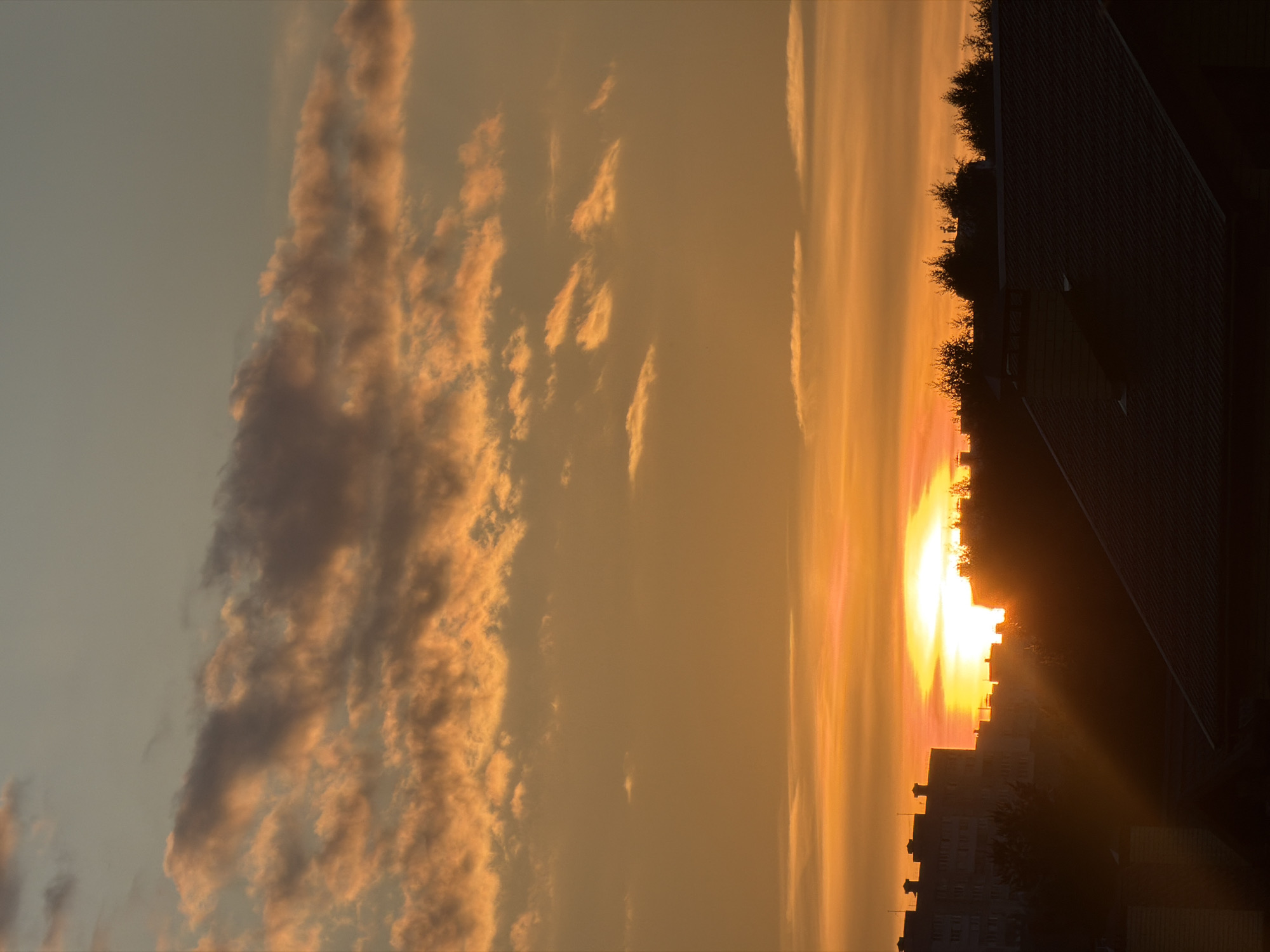 Urban sunset framed by rooftops and silhouetted trees